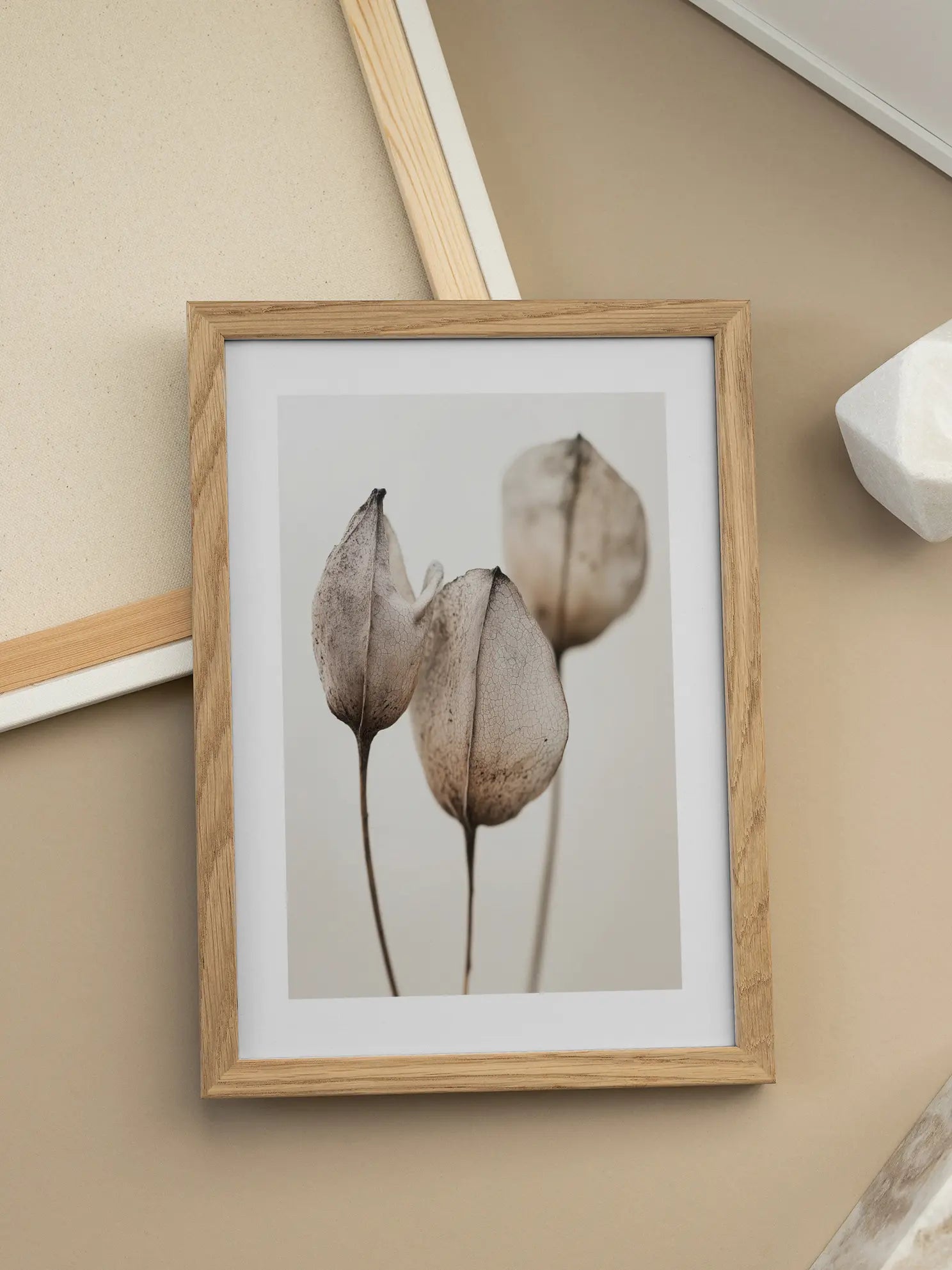 Beige Botanicals Poster