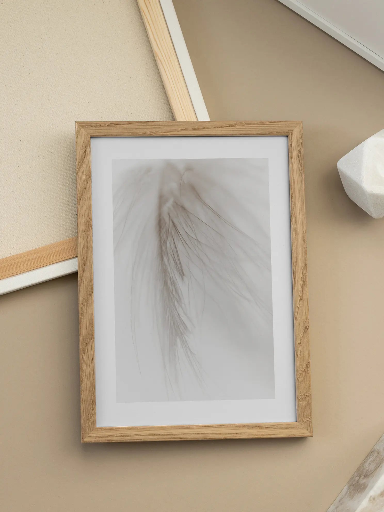 Beige Feather Close Up Poster