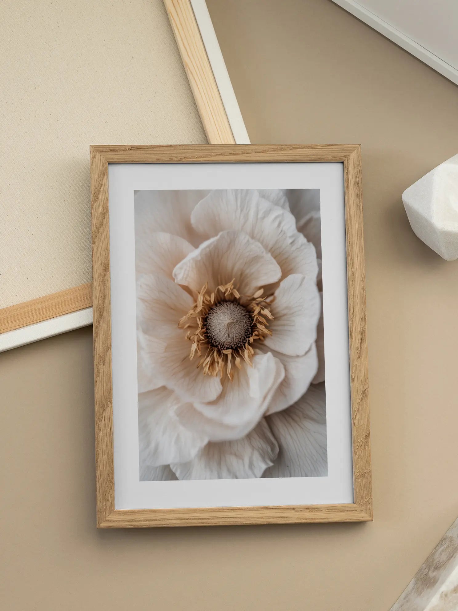 Beige Flower Close Up Poster