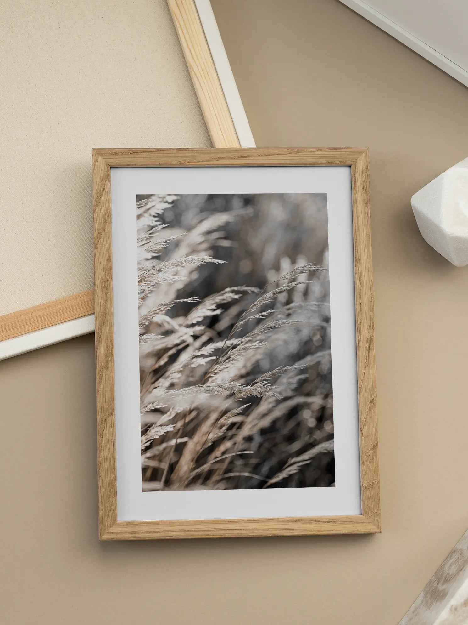 Beige Reeds Poster