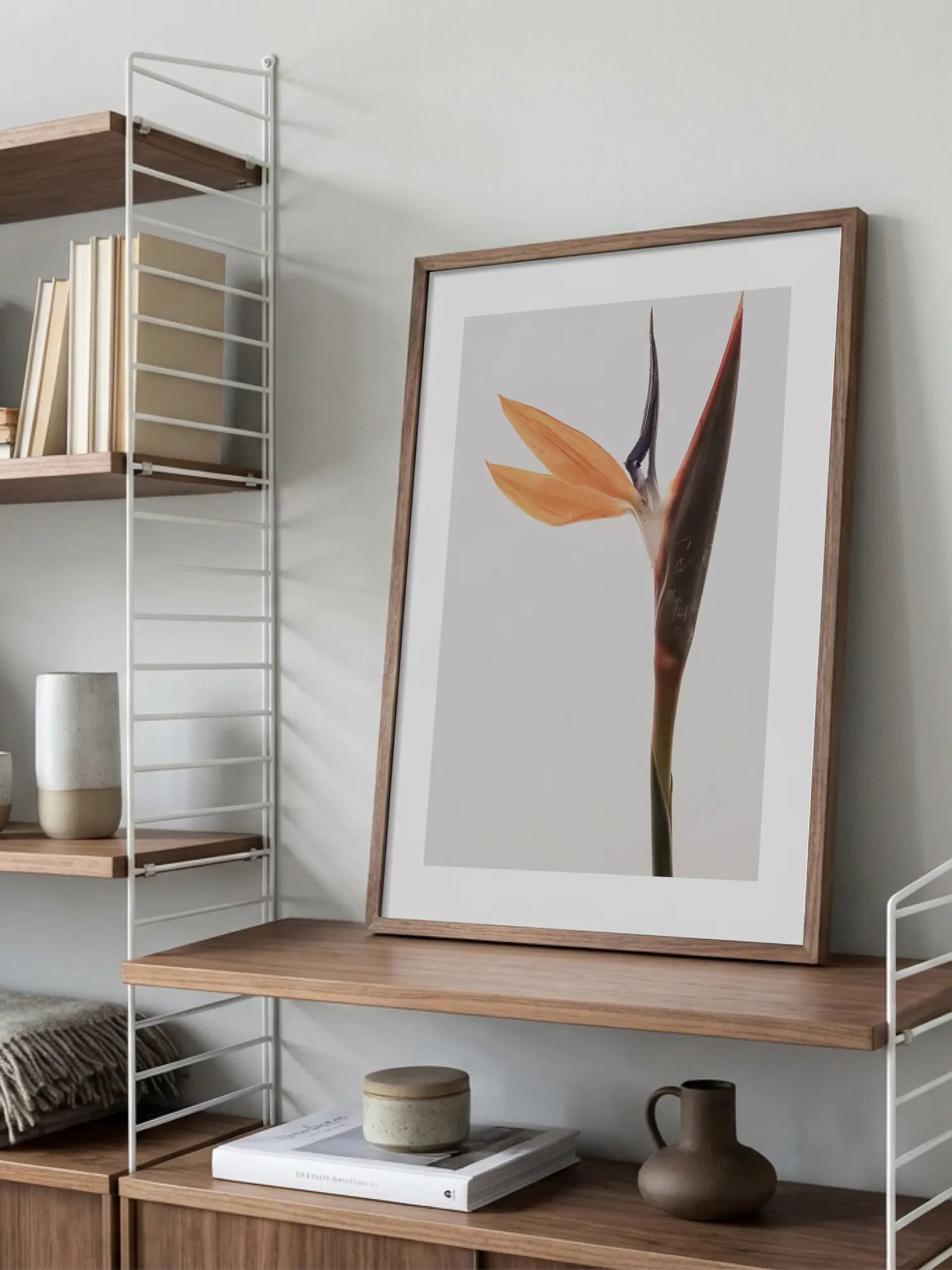 Bird of Paradise Poster