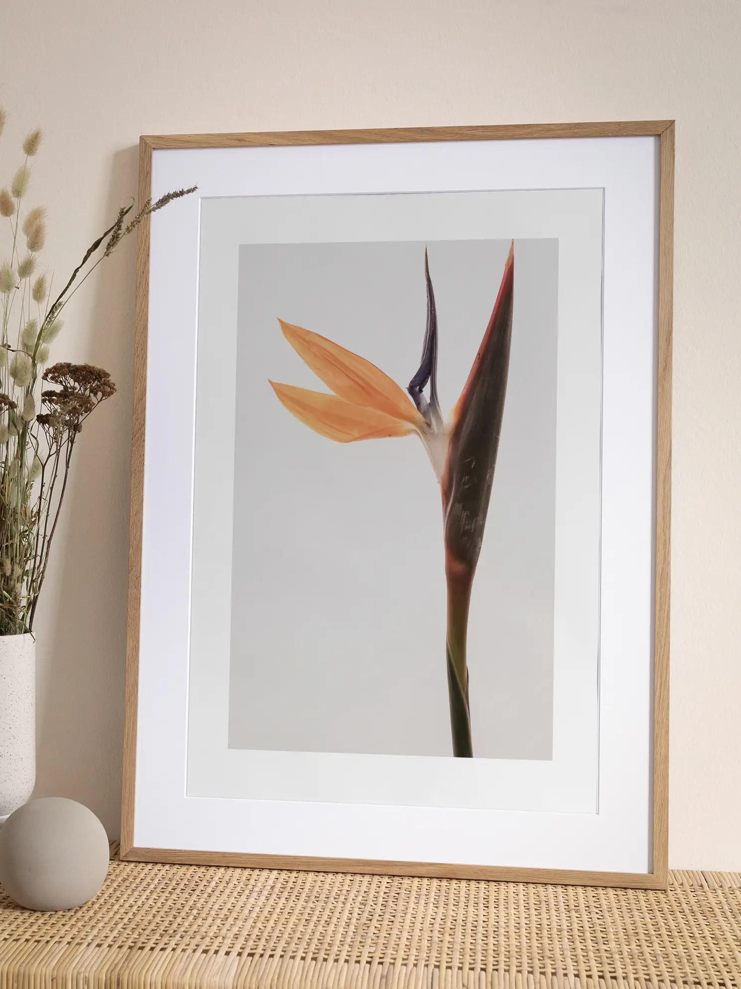 Bird of Paradise Poster