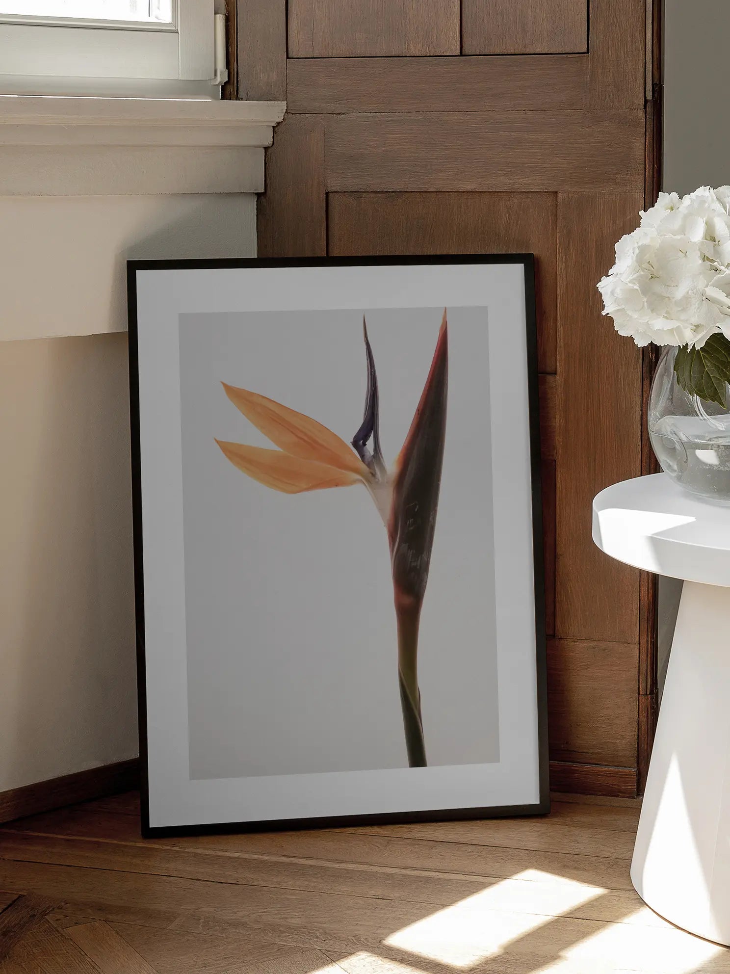 Bird of Paradise Poster