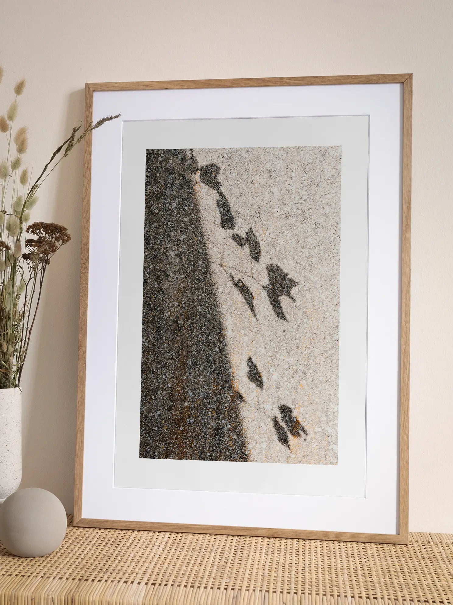 Bird Shadows Poster