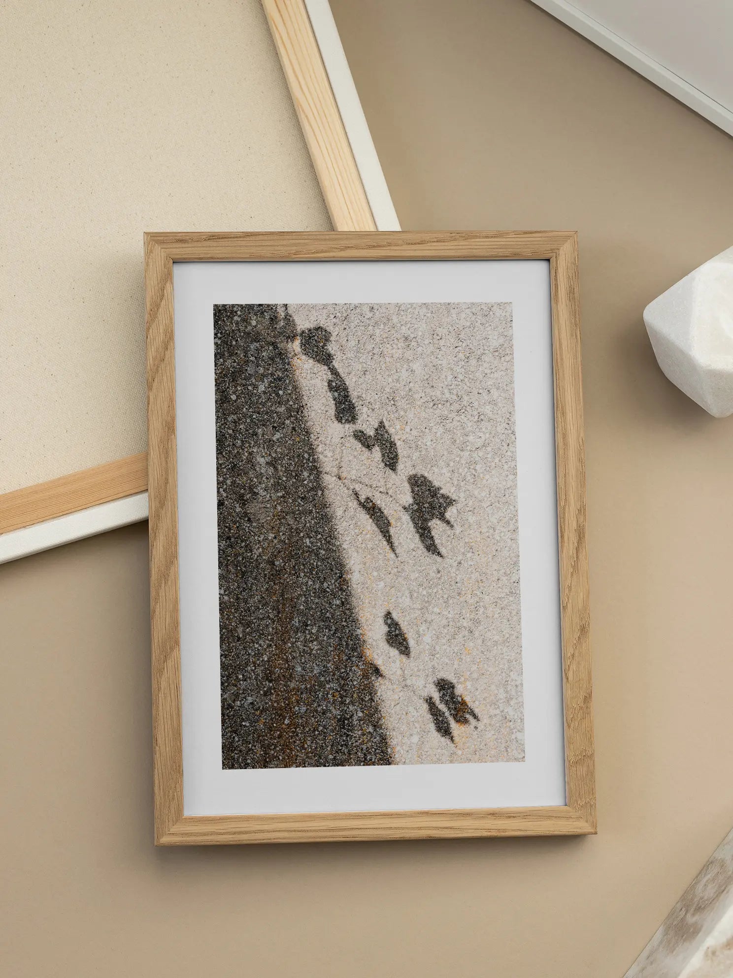 Bird Shadows Poster