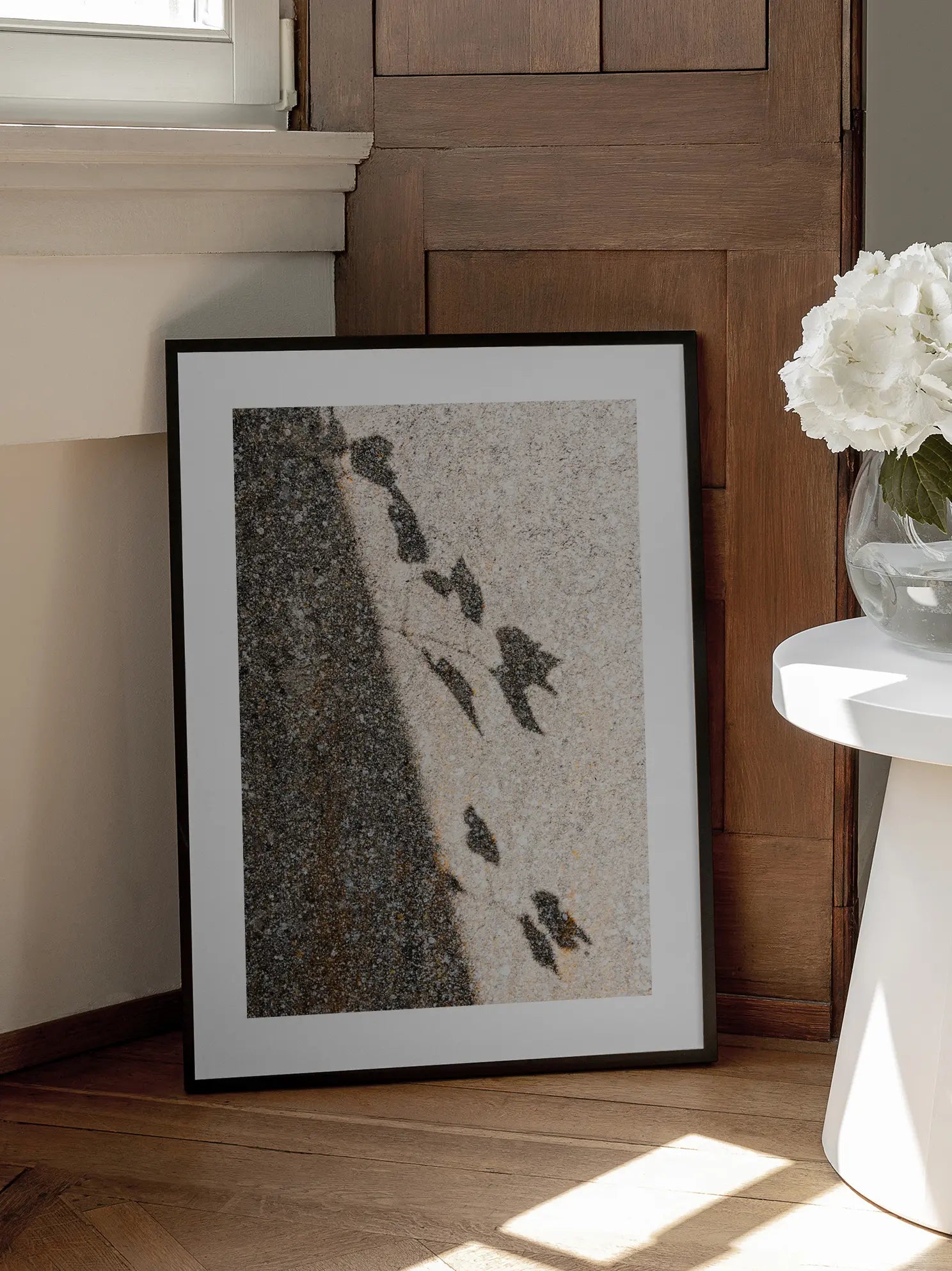 Bird Shadows Poster
