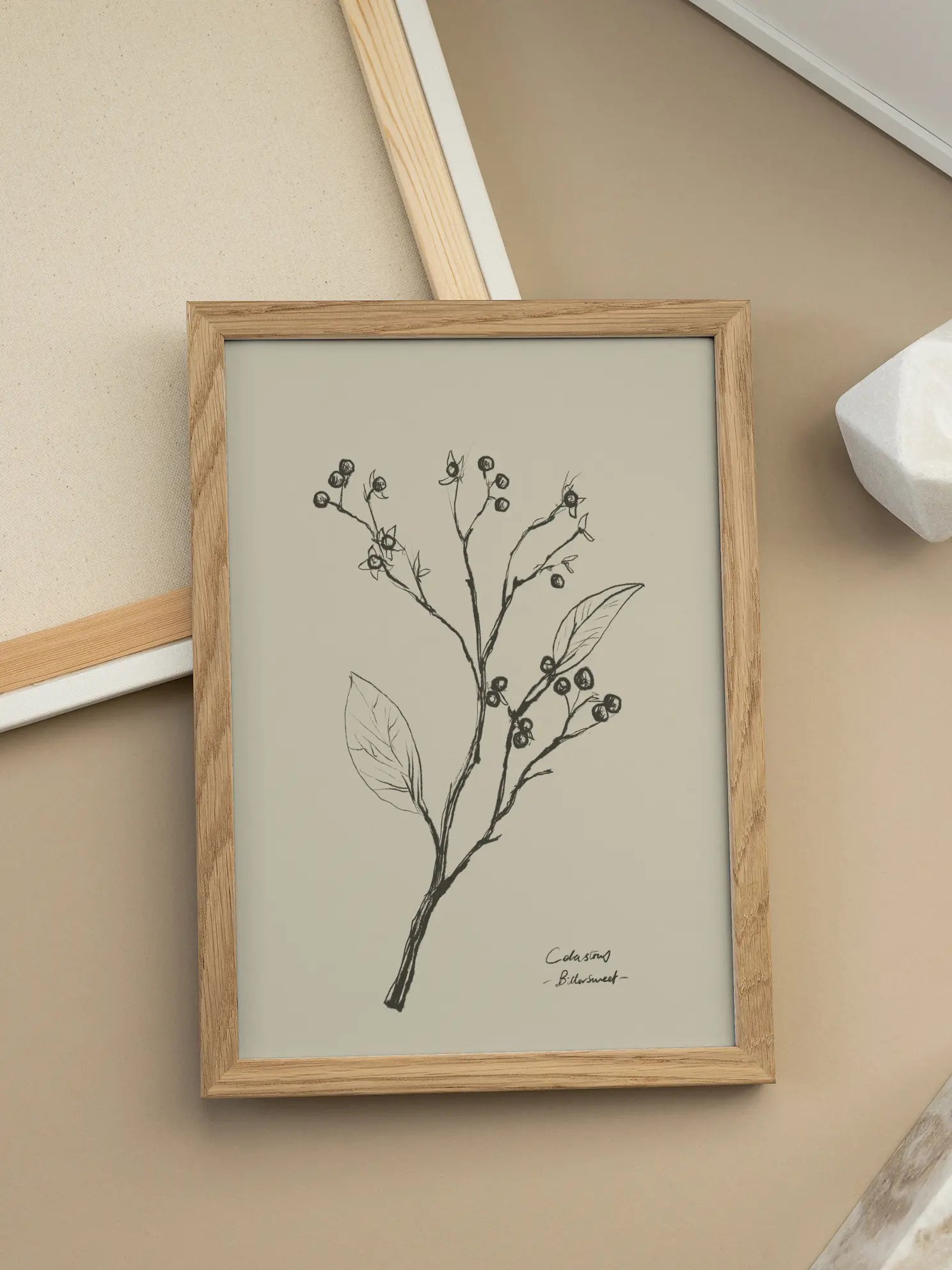Bittersweet Botanical Poster