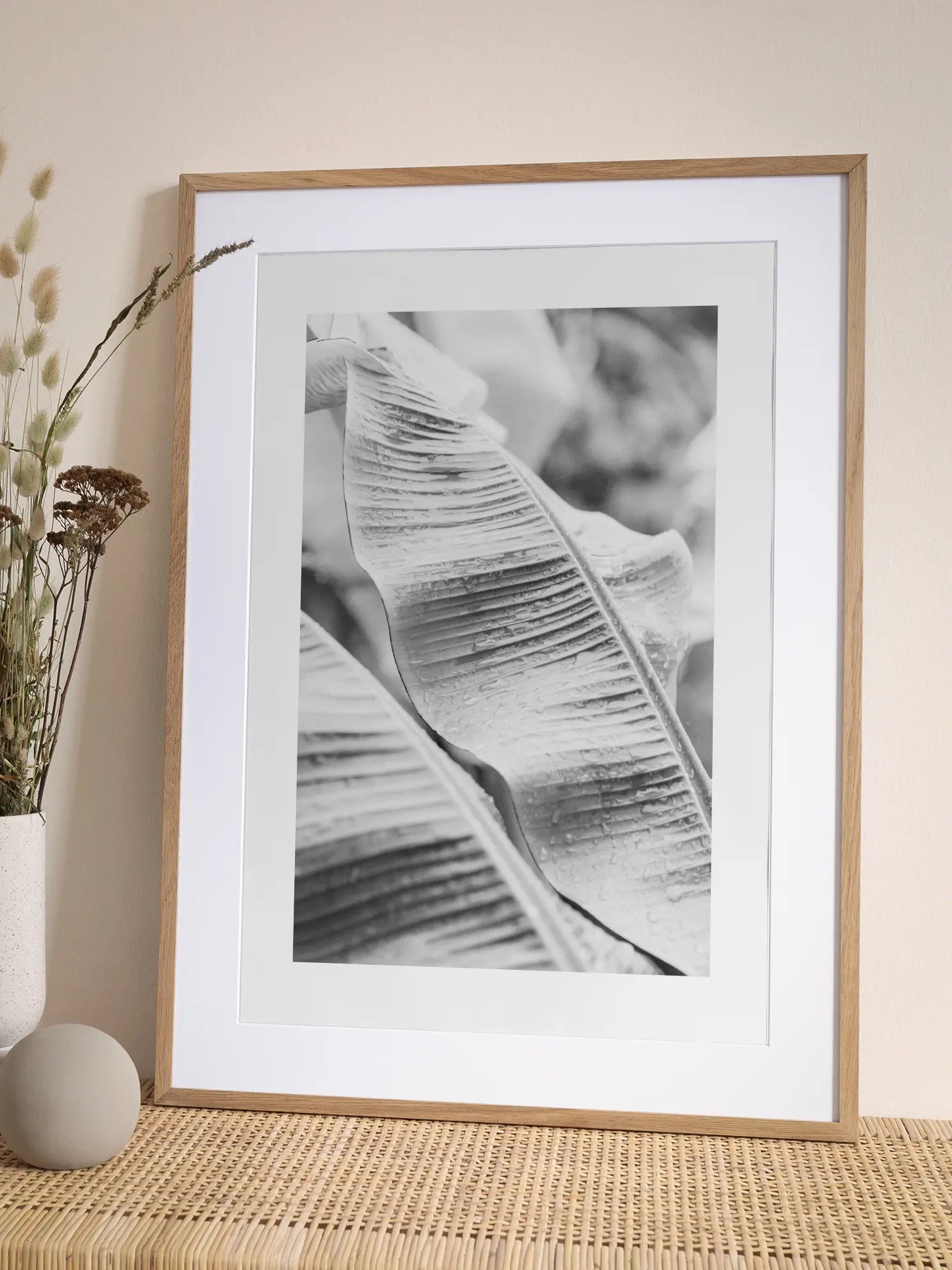 Black and White Banana Leaves Poster