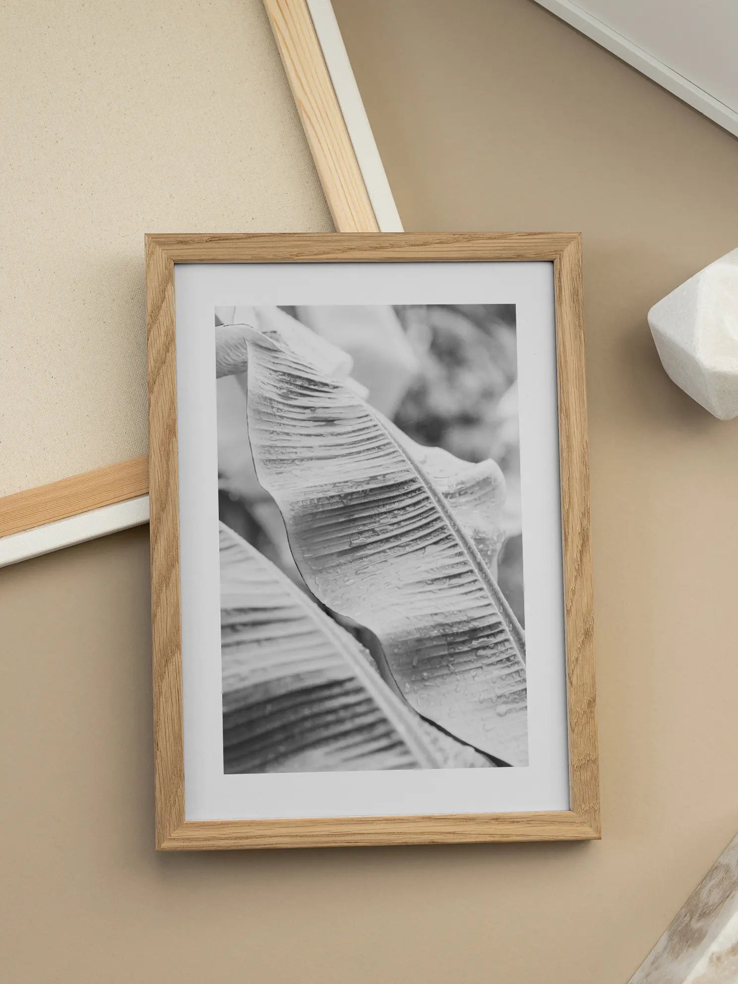 Black and White Banana Leaves Poster