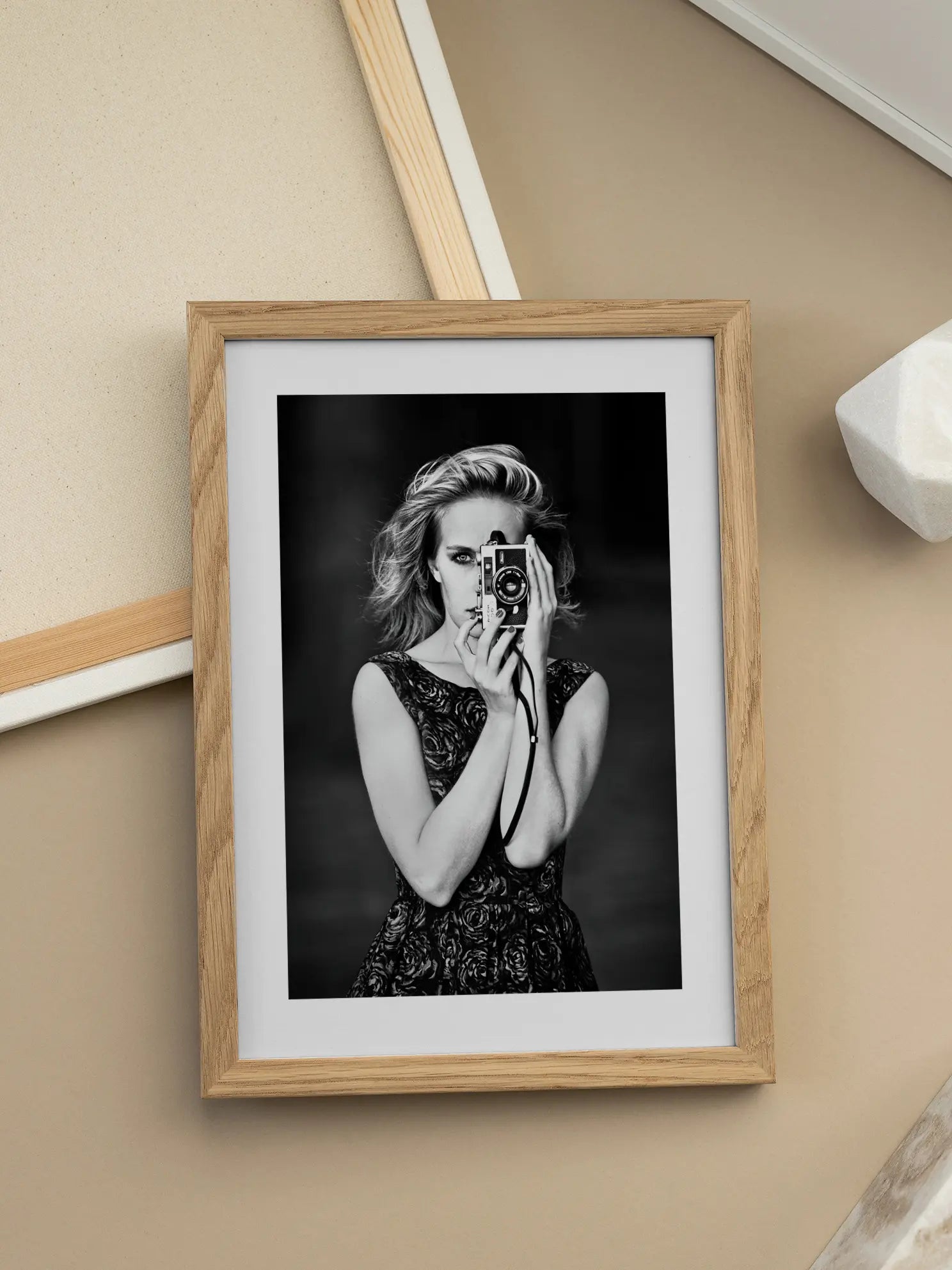 Black and White Camera Poster