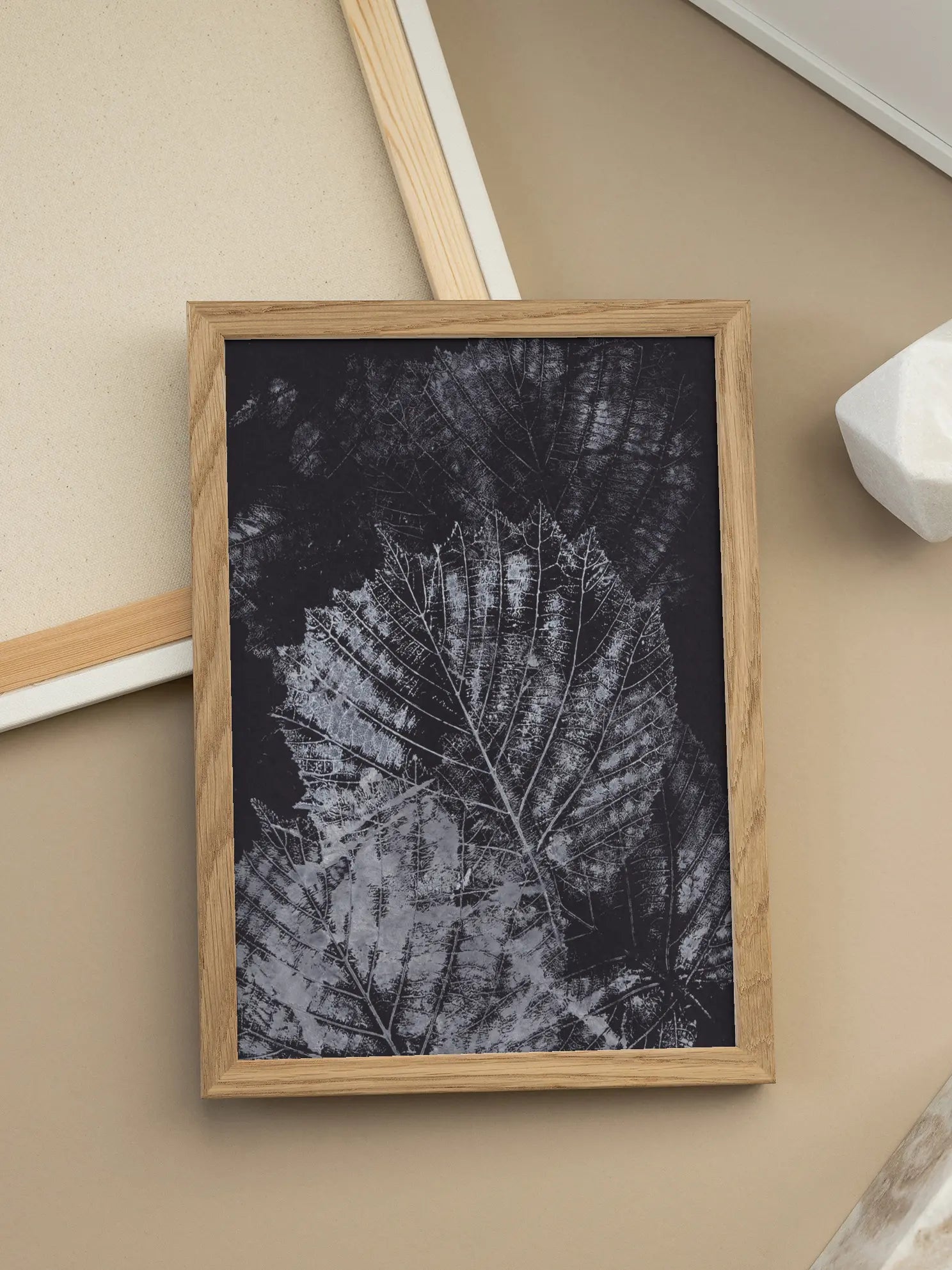 Black and White Leaves Poster