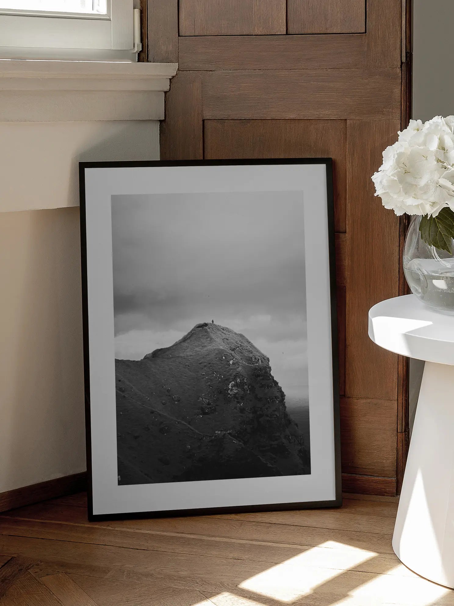 Black and White Mountain Top Poster