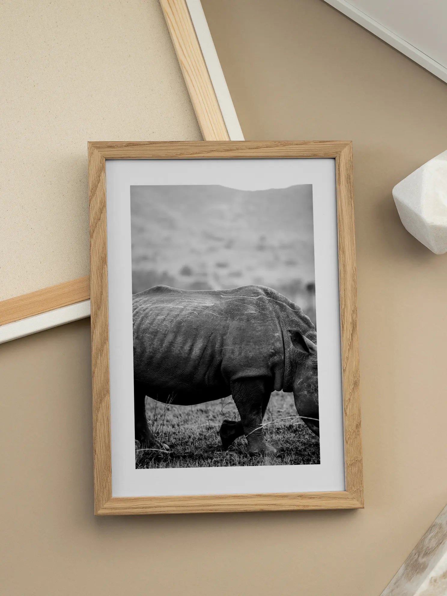 Black and White Rhino Poster