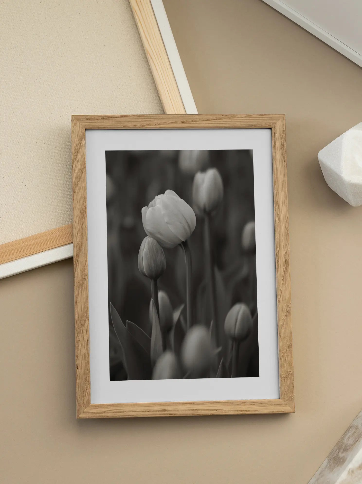 Black And White Tulip Poster