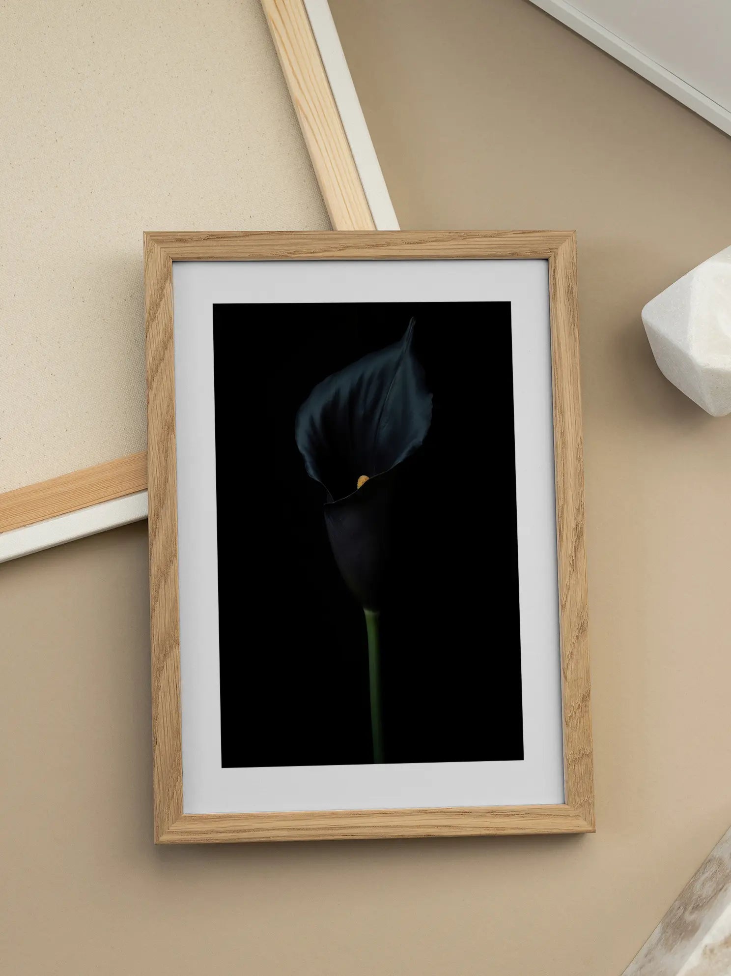 Black Calla Poster