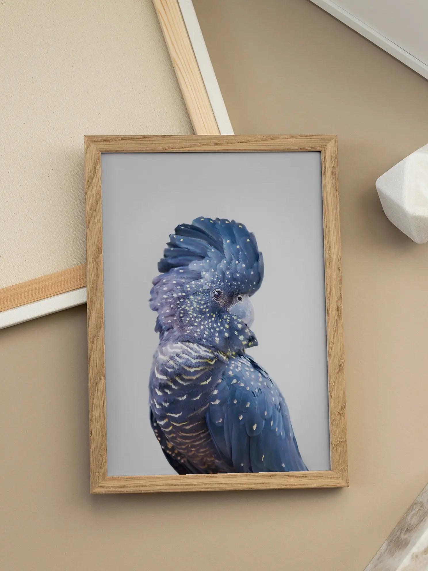 Black Cockatoo Poster
