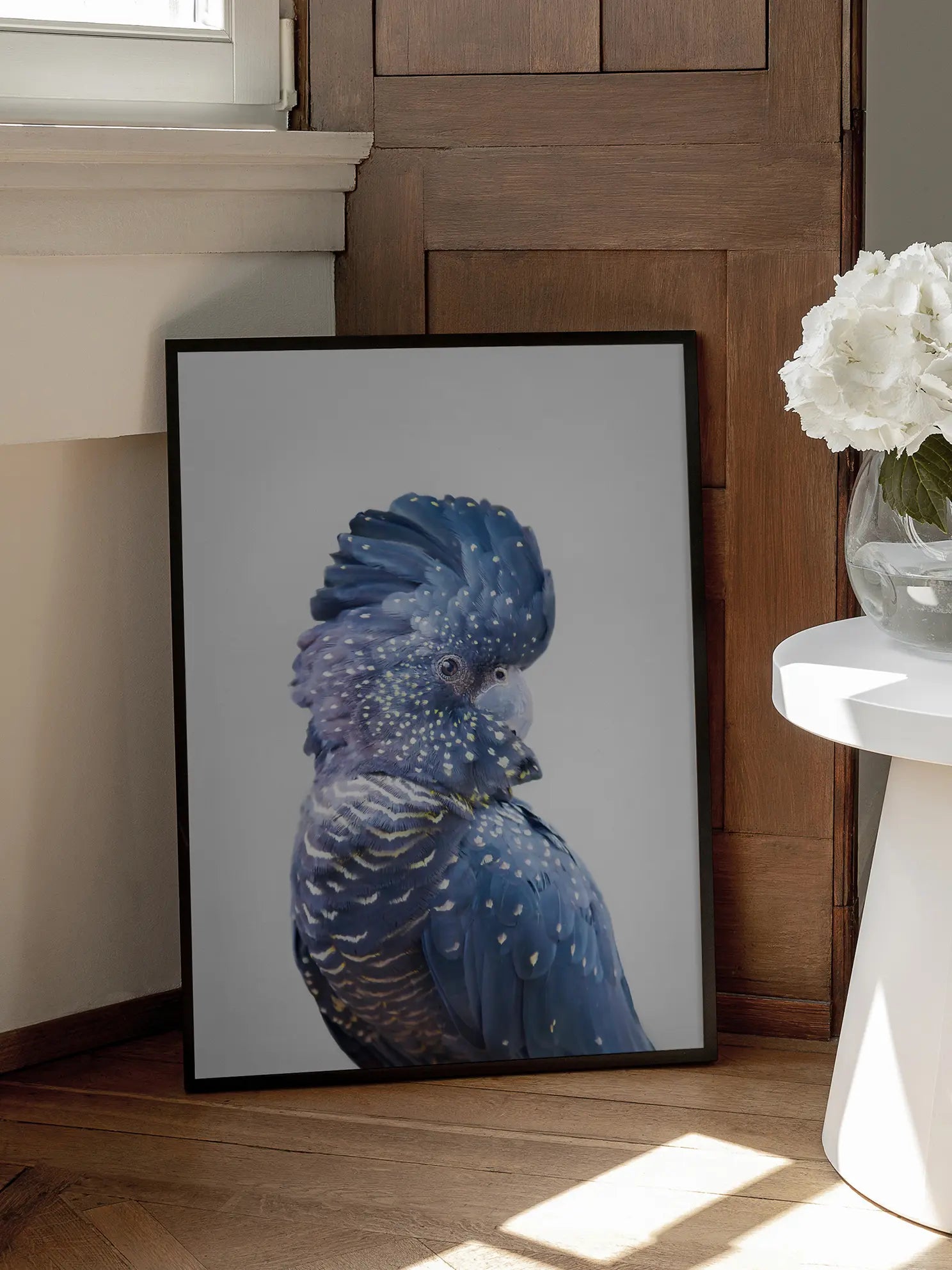 Black Cockatoo Poster