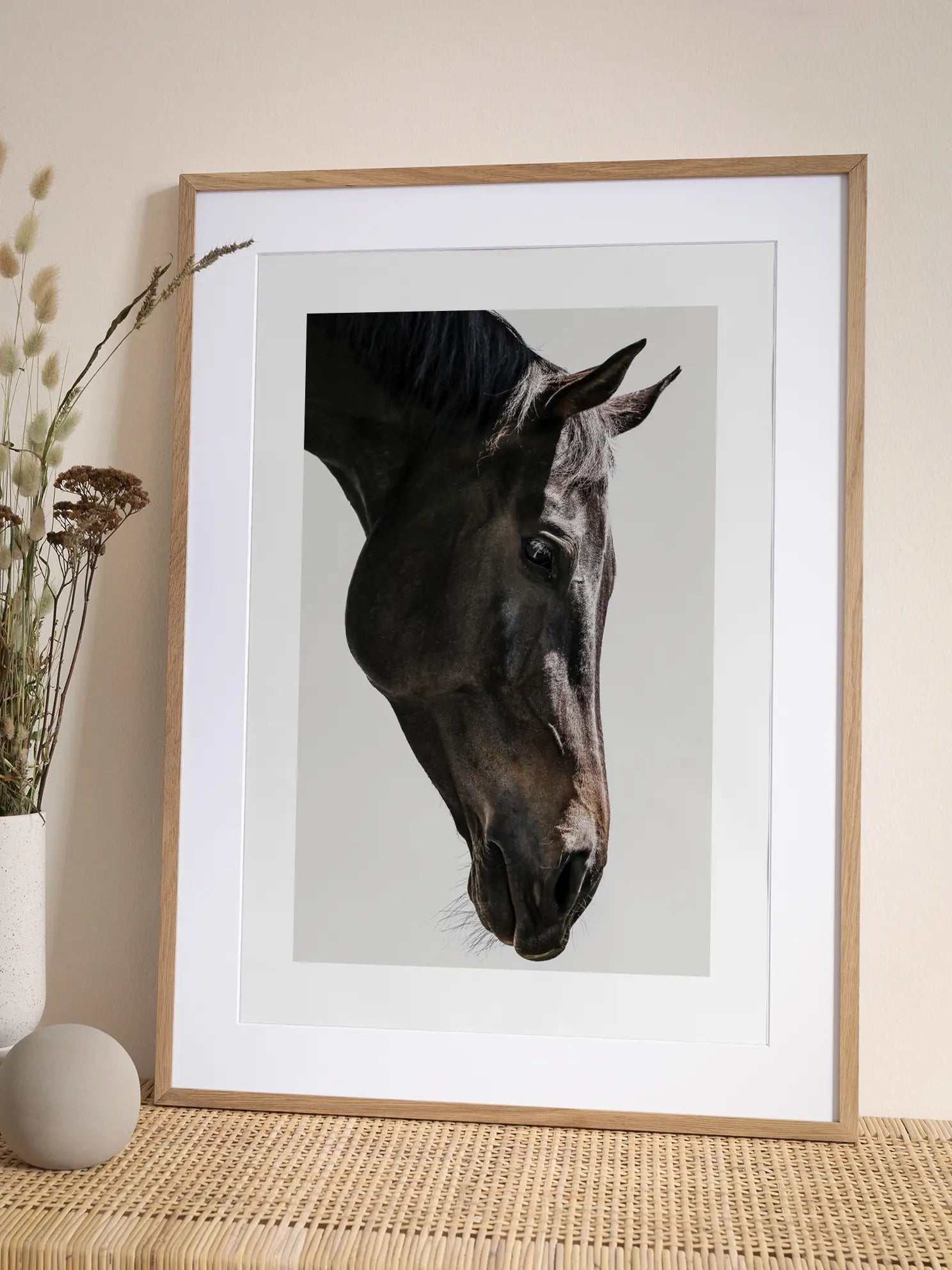 Black Horse Poster