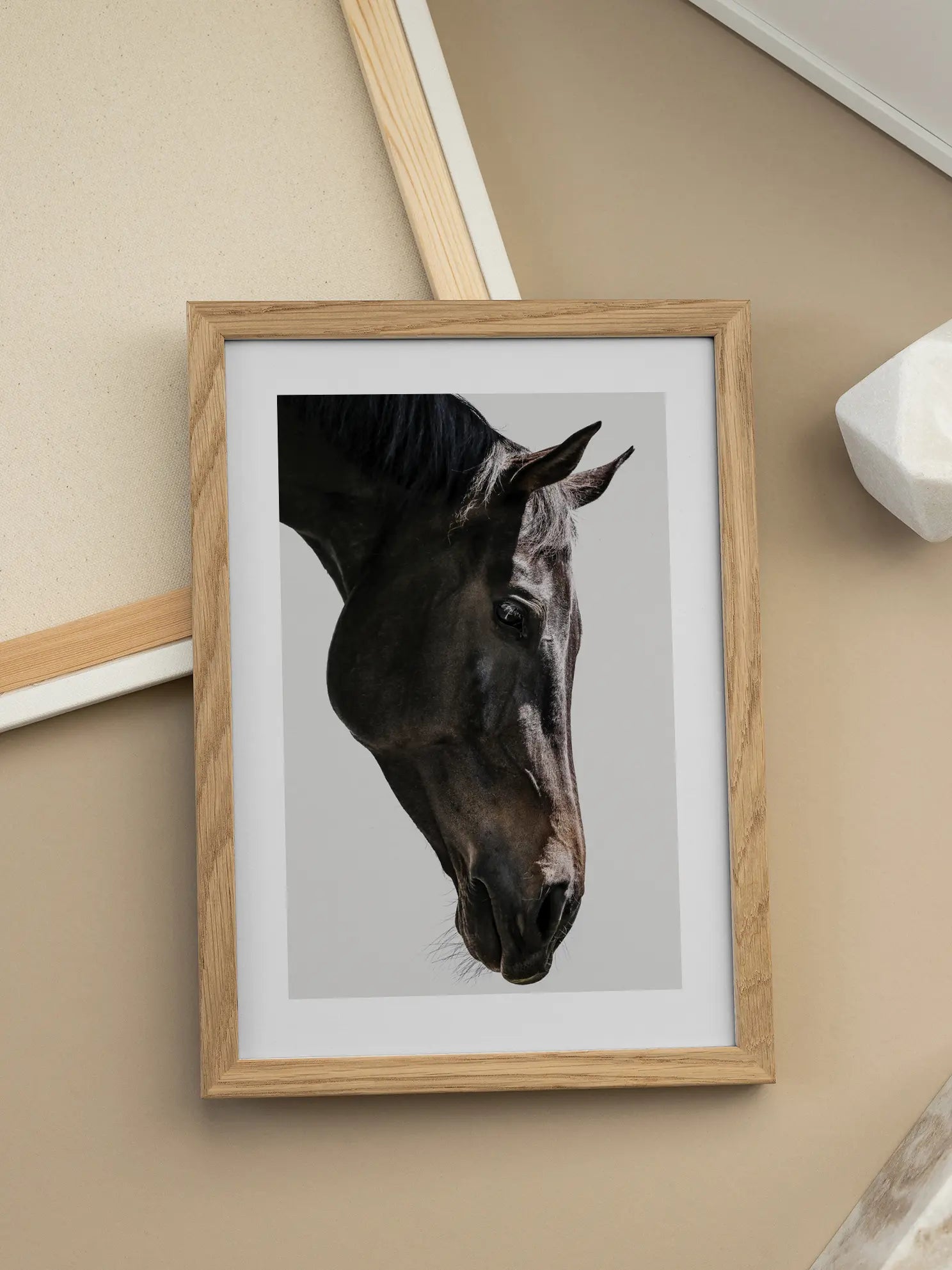Black Horse Poster