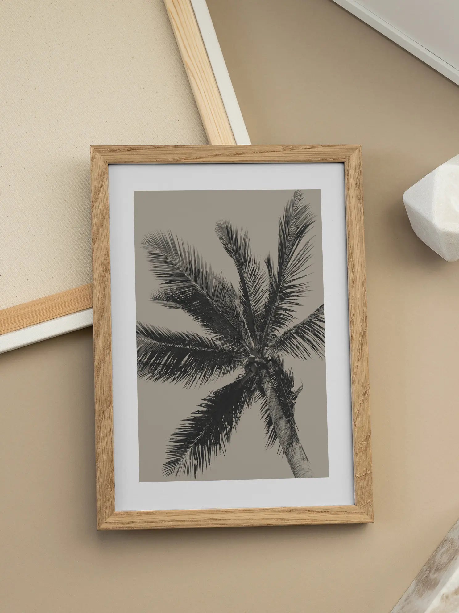 Black Palm Poster