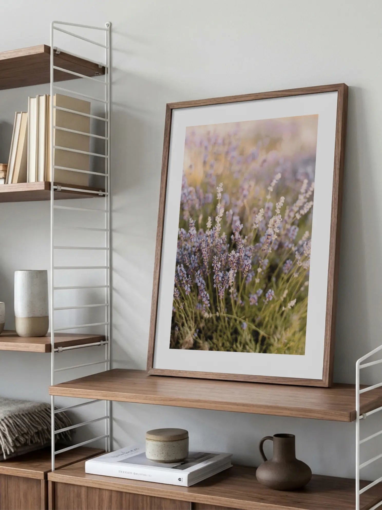 Blooming Lavender Poster