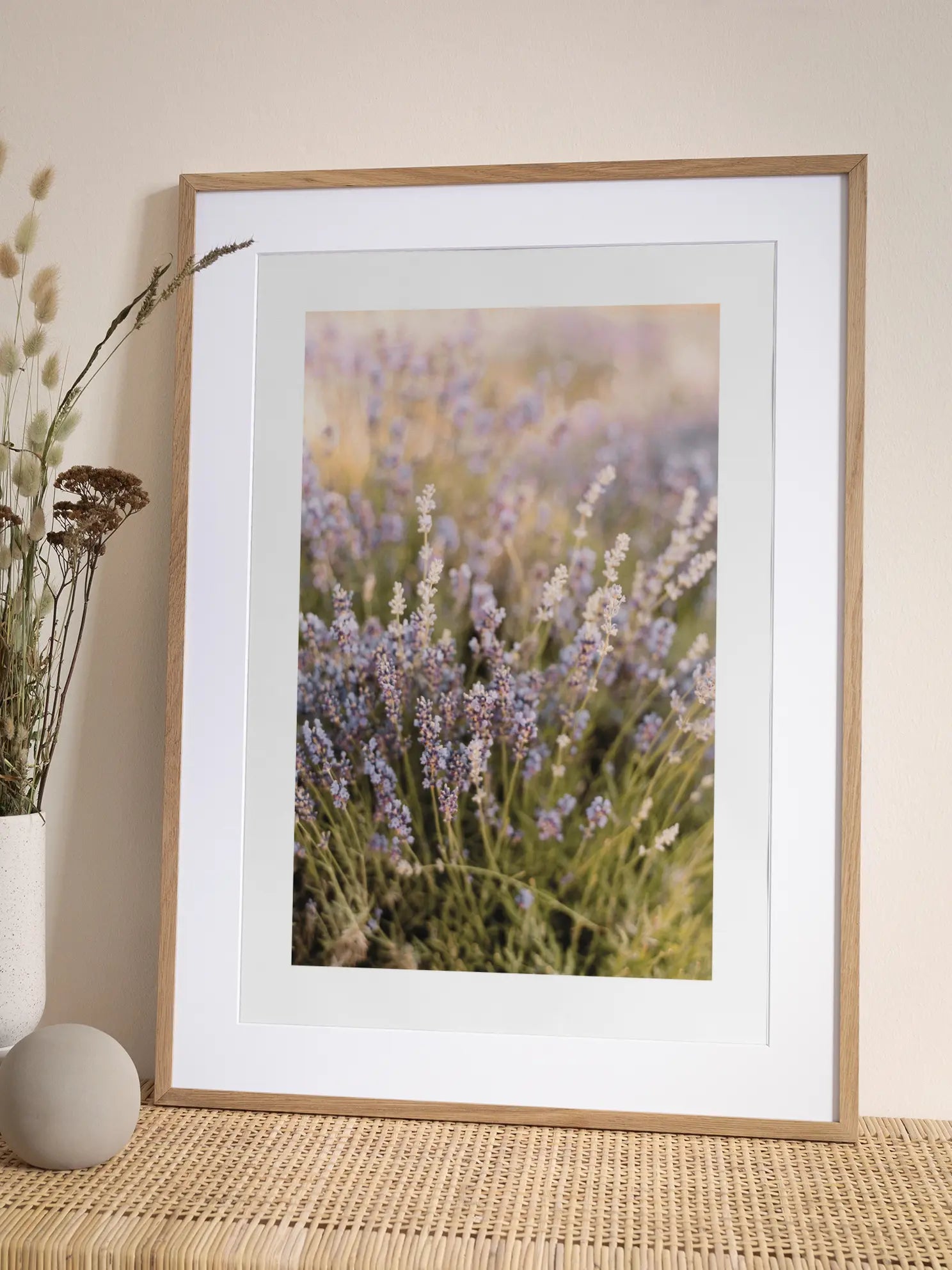 Blooming Lavender Poster