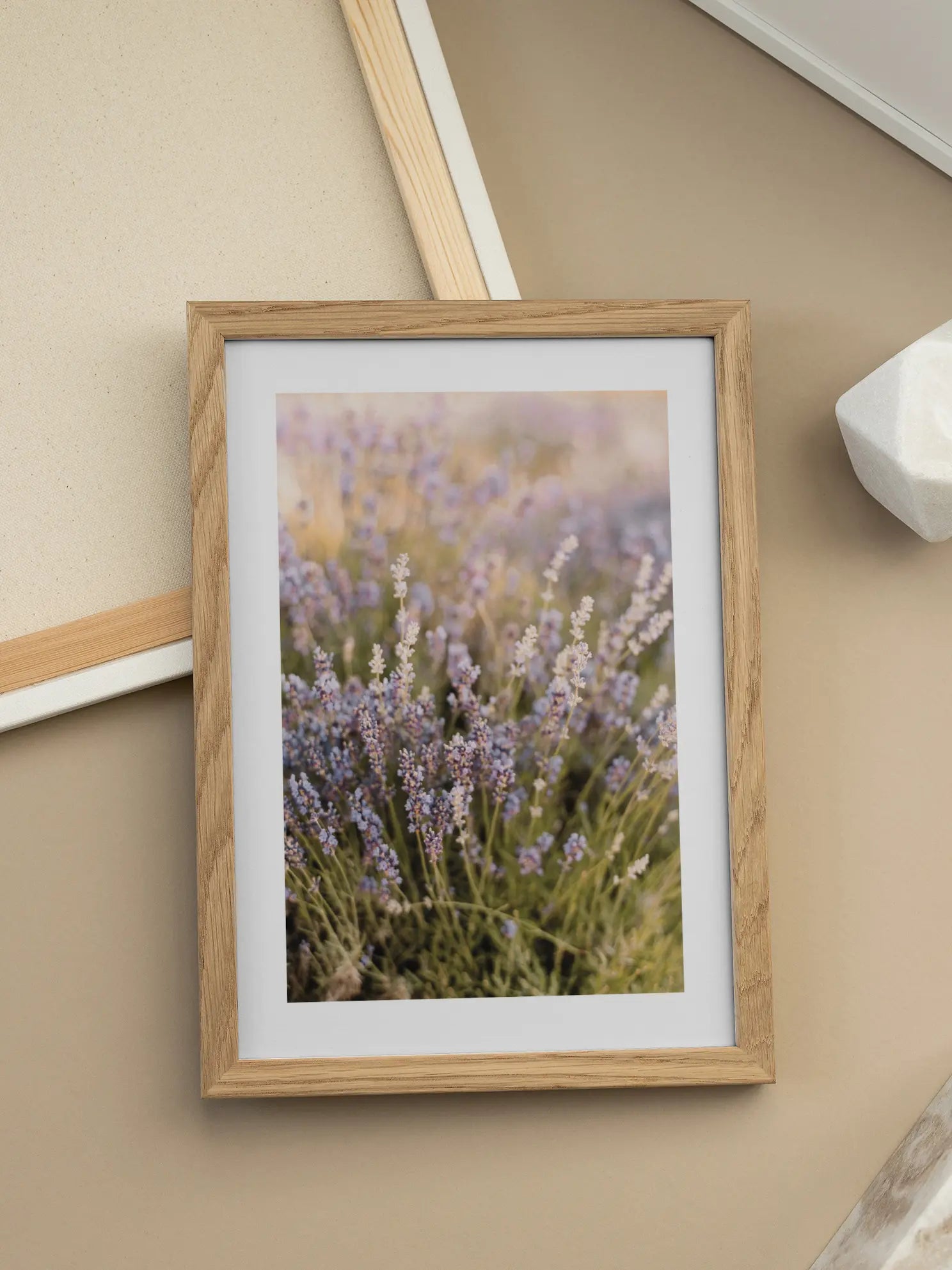 Blooming Lavender Poster