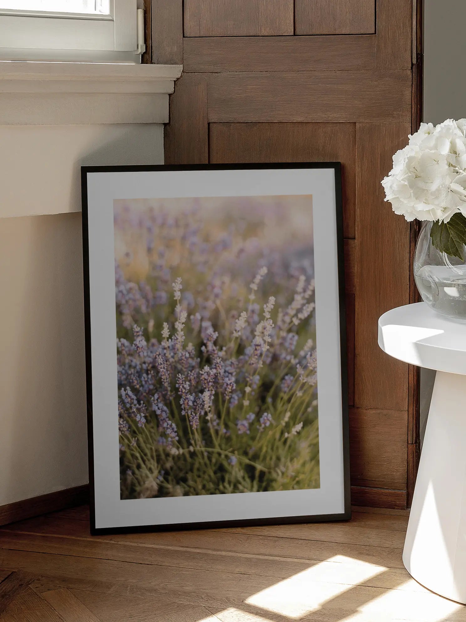 Blooming Lavender Poster