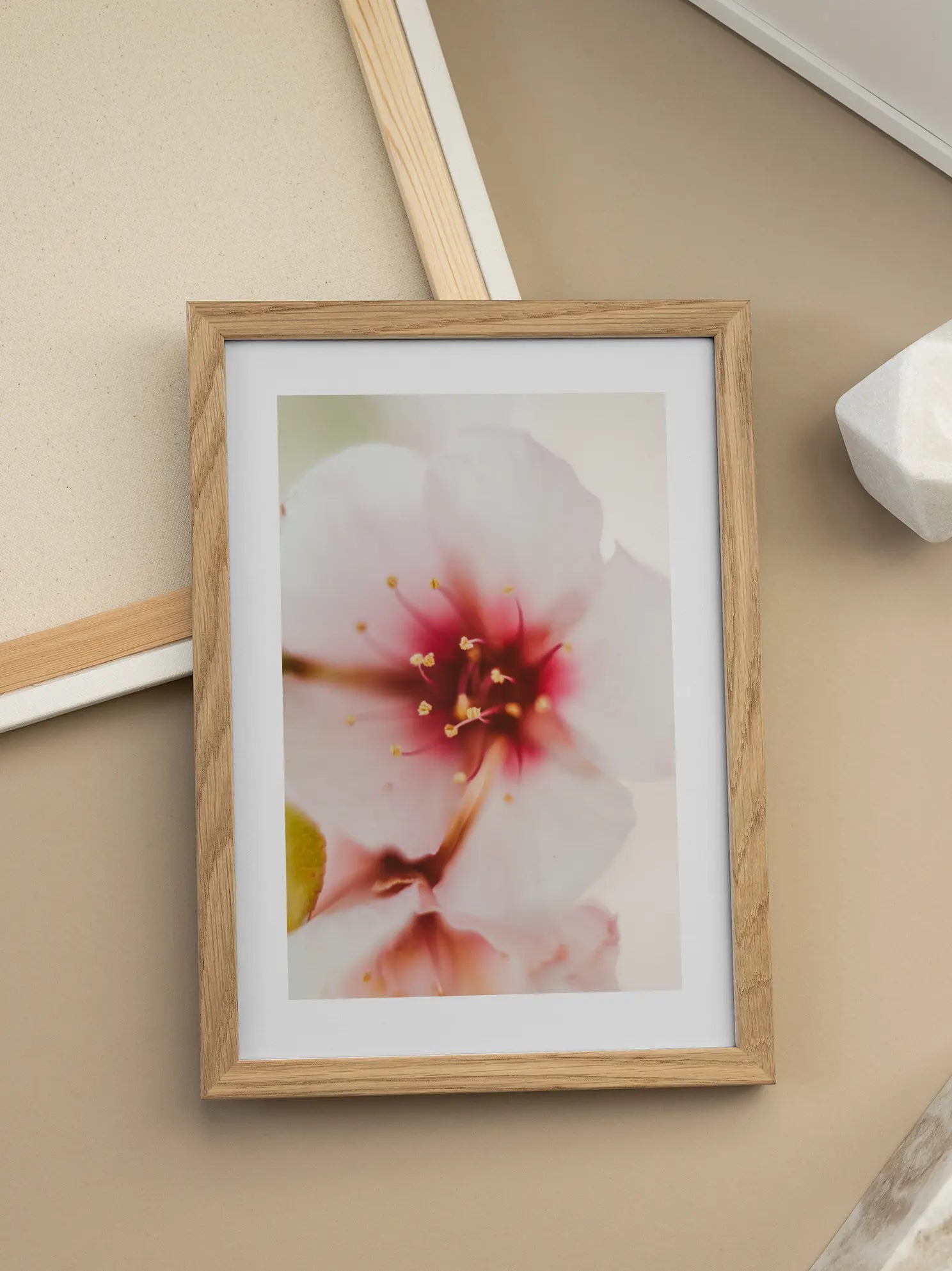 Blossom Close Up Poster