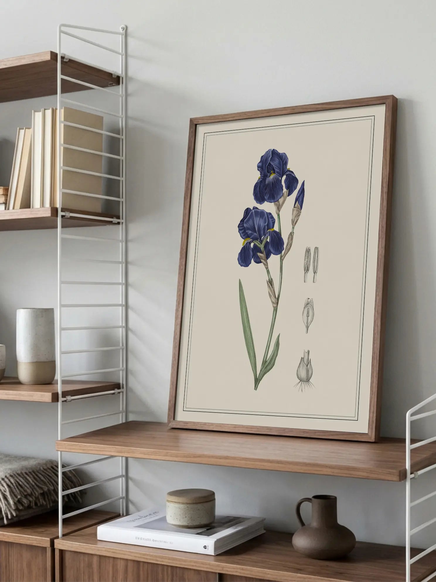Blue Iris Poster