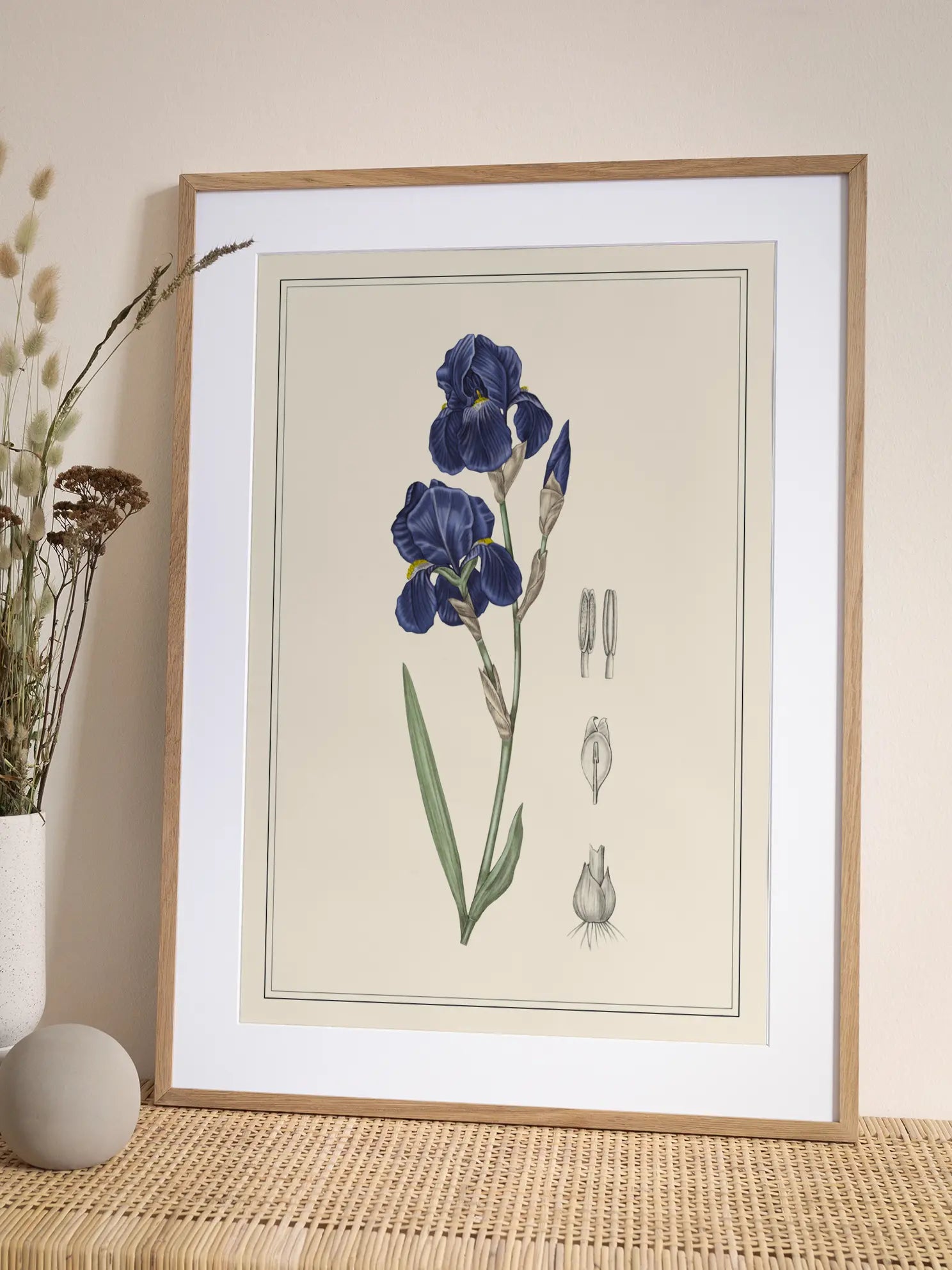 Blue Iris Poster