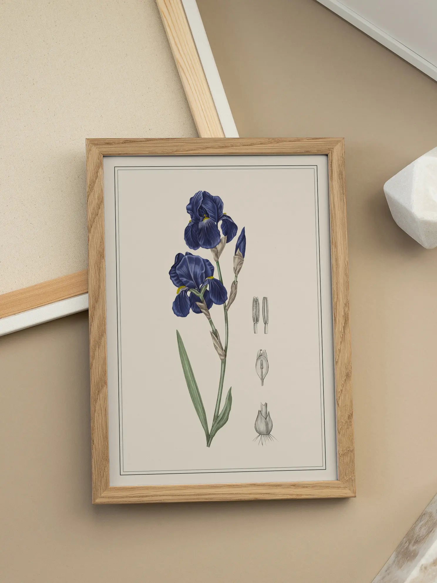 Blue Iris Poster