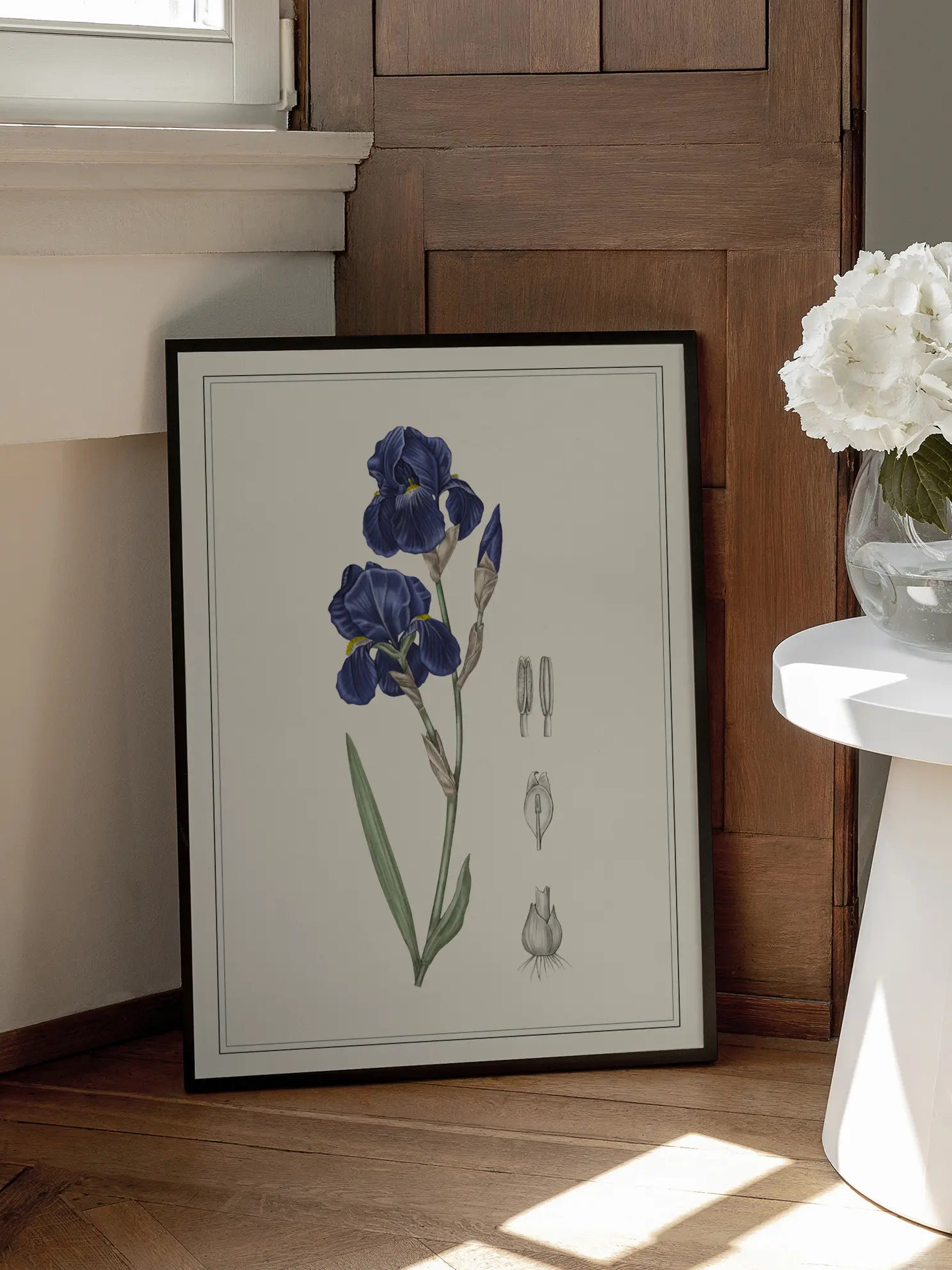 Blue Iris Poster
