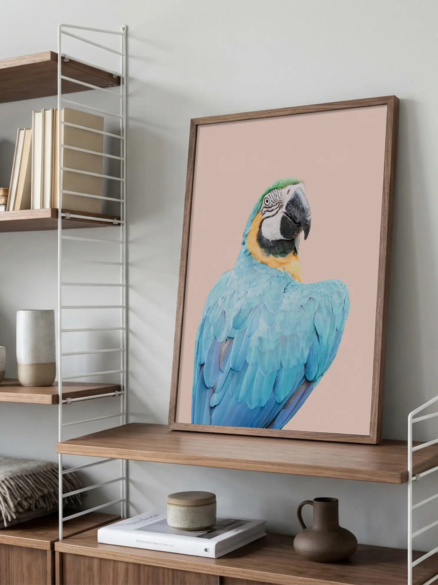 Blue Macaw Poster