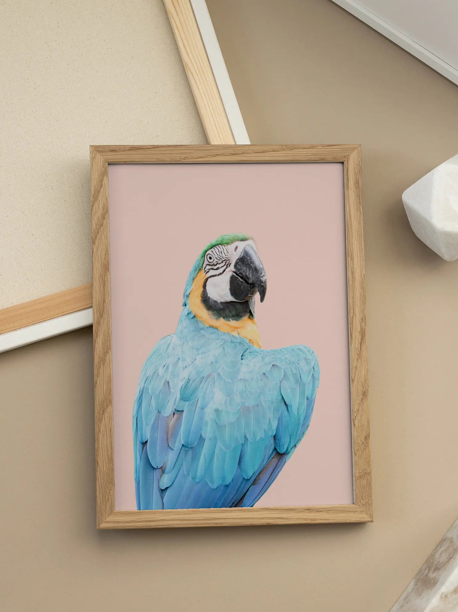 Blue Macaw Poster