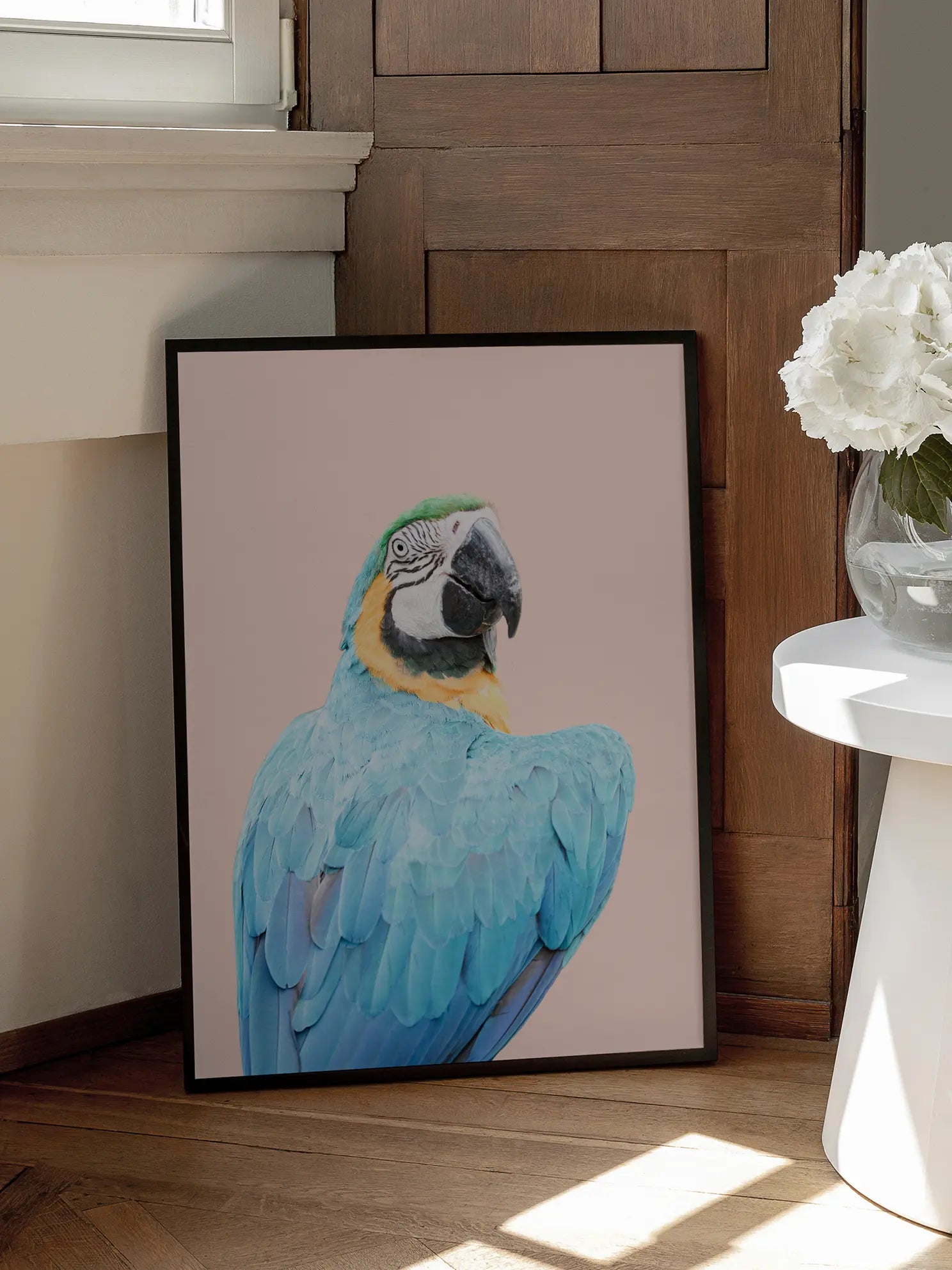 Blue Macaw Poster