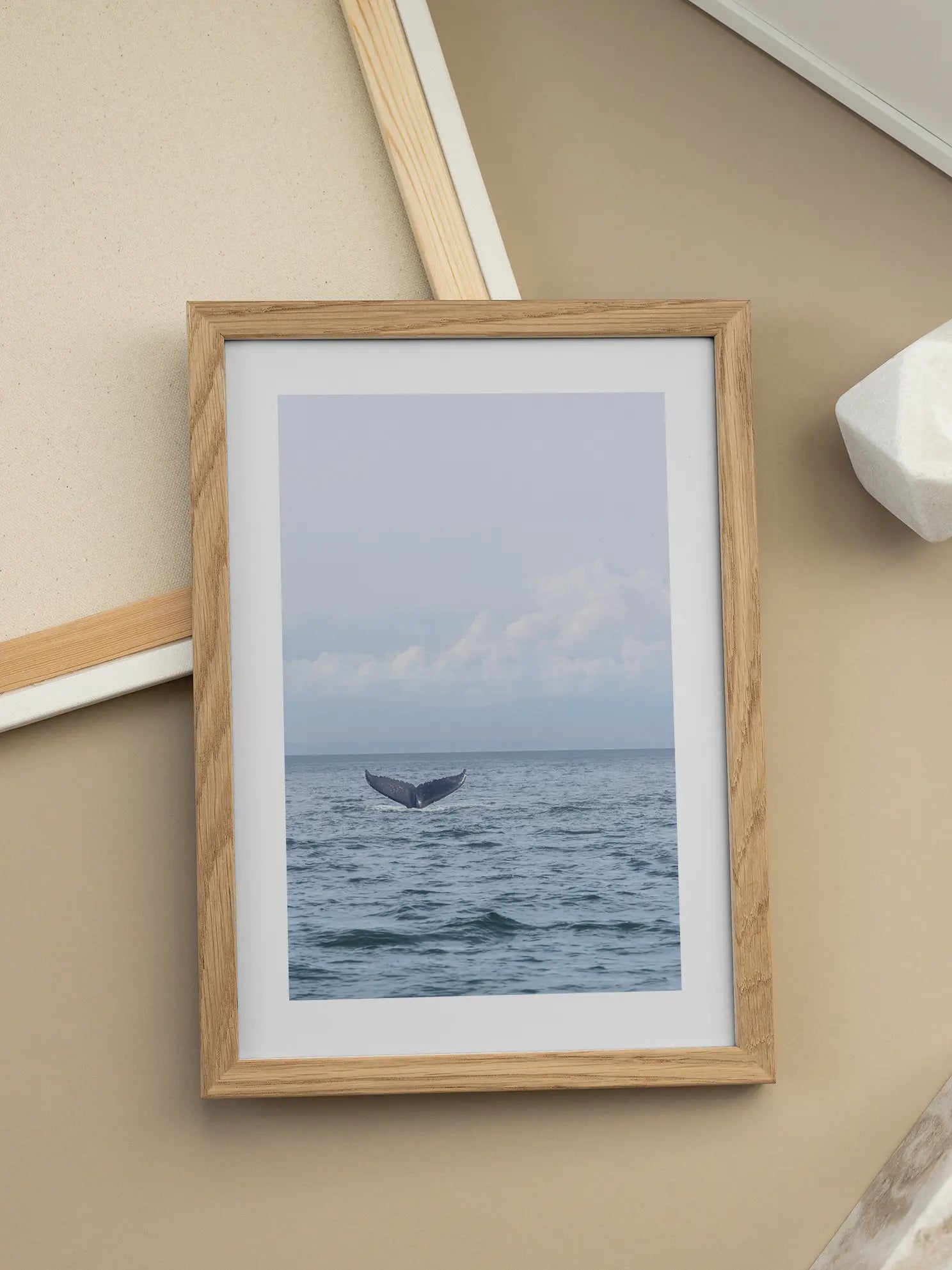 Blue Whale in Daylight Poster