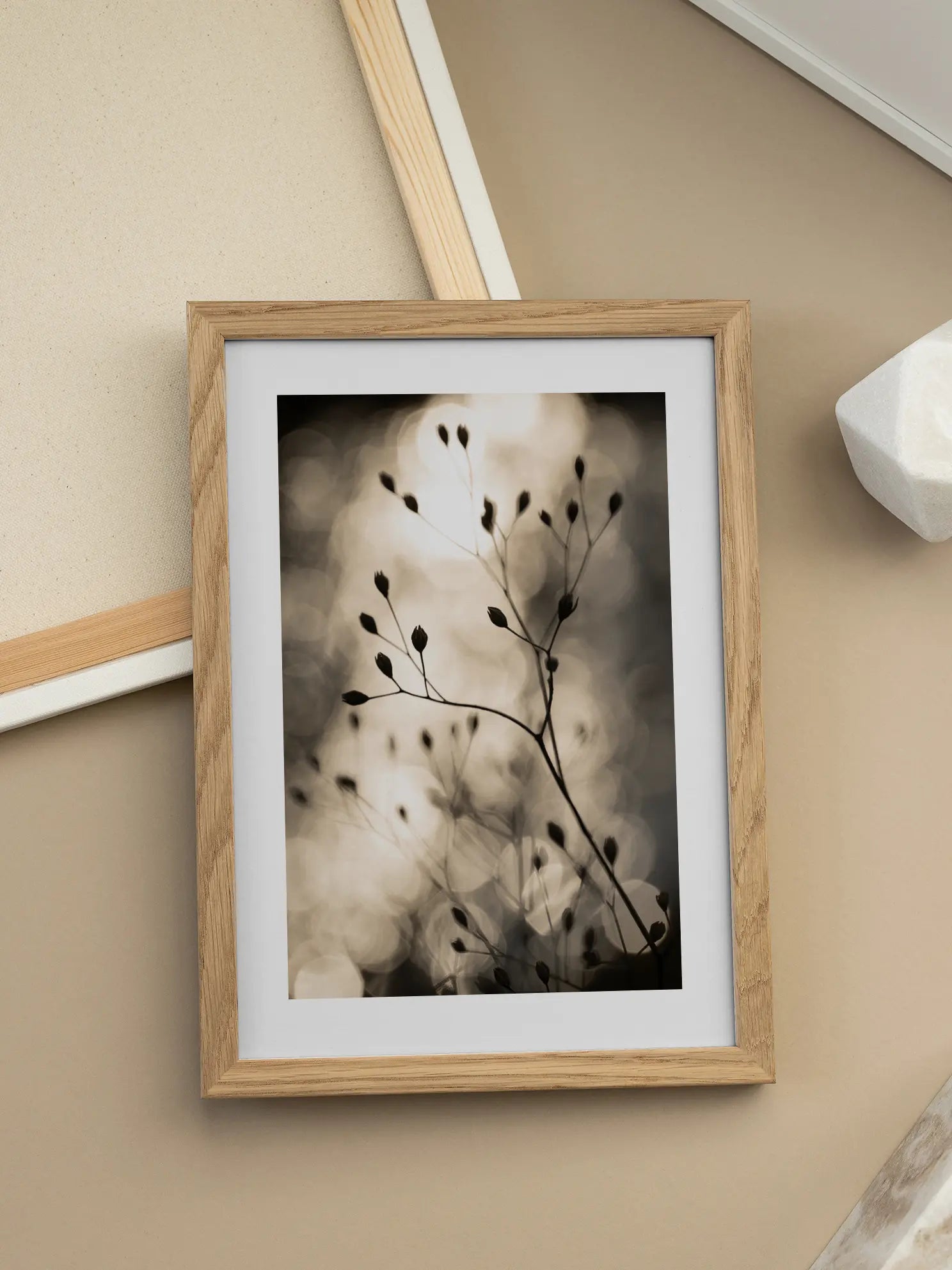 Bokeh Plant Poster