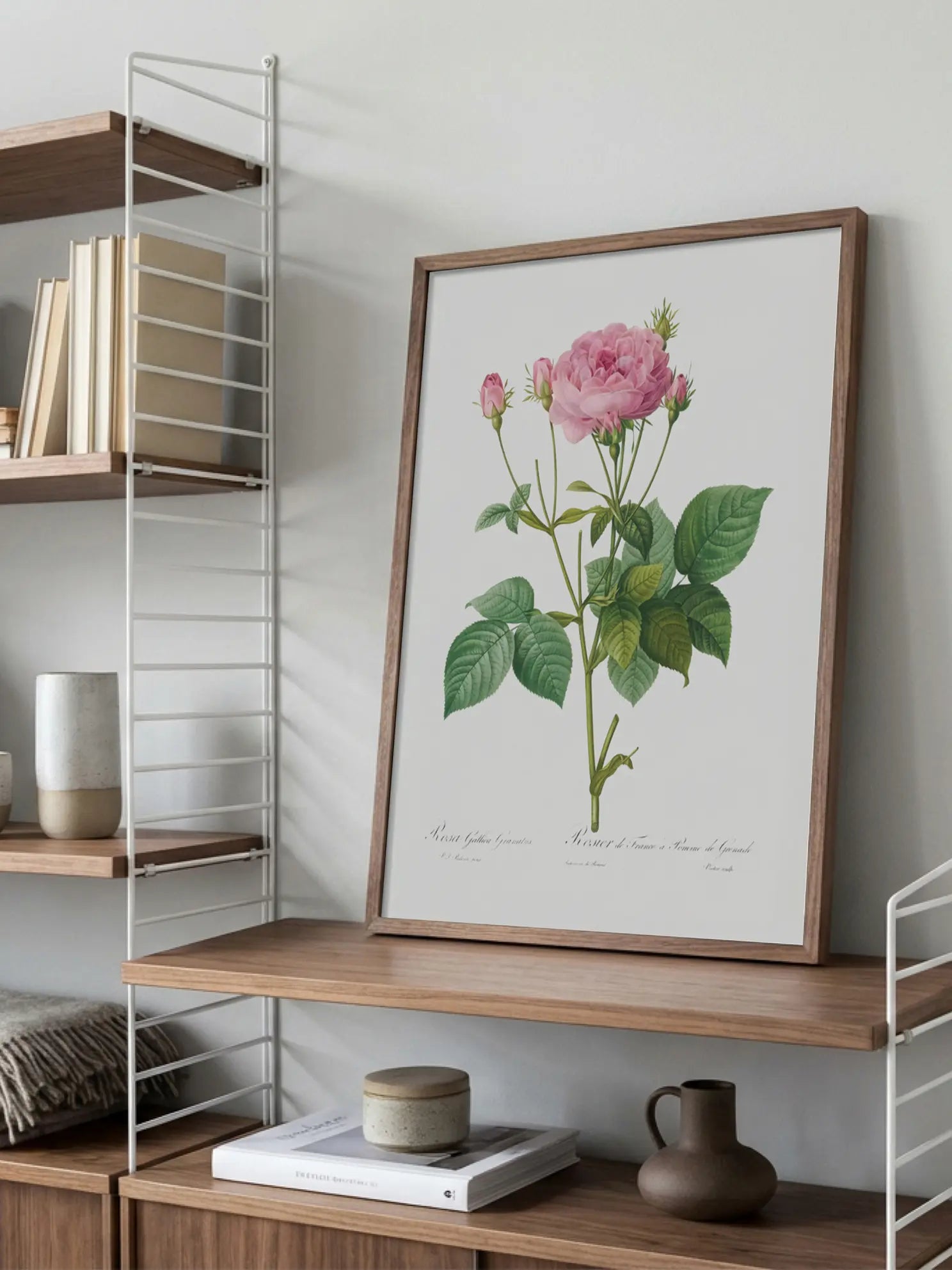 Botanical Rose Poster