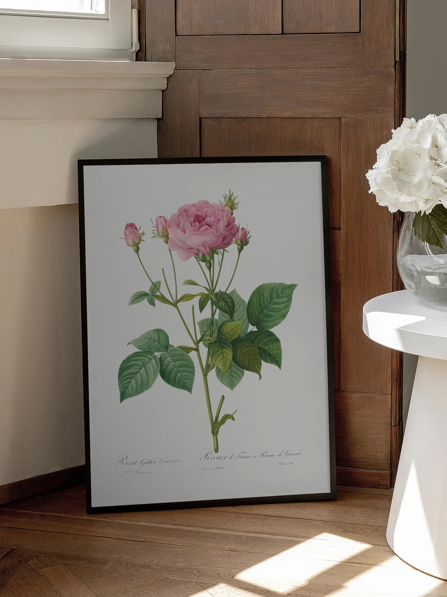 Botanical Rose Poster