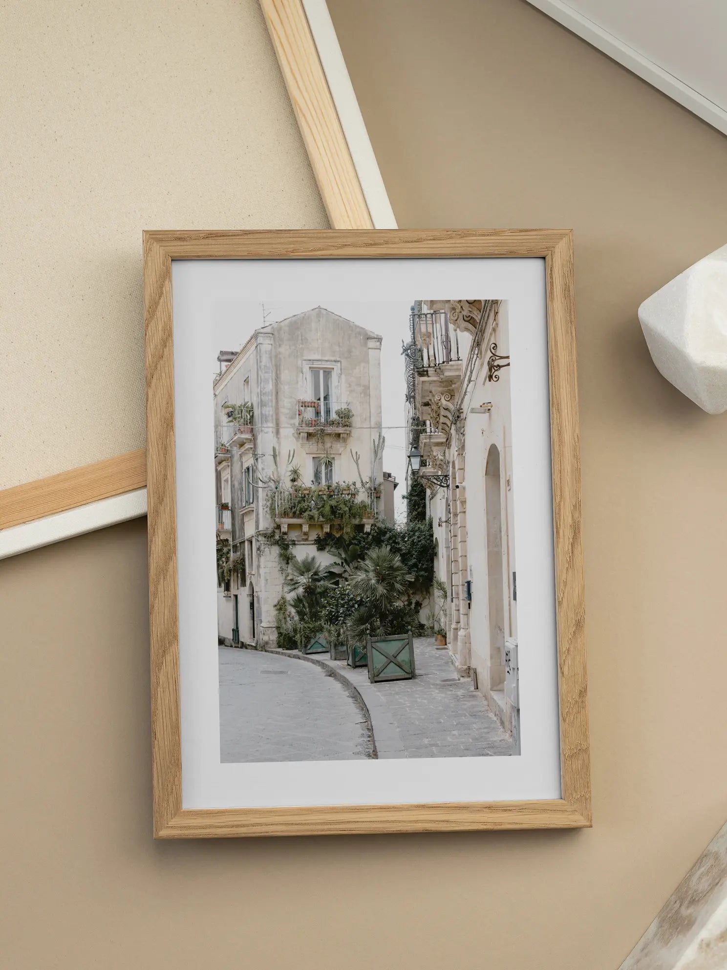 Botanical White Houses Poster