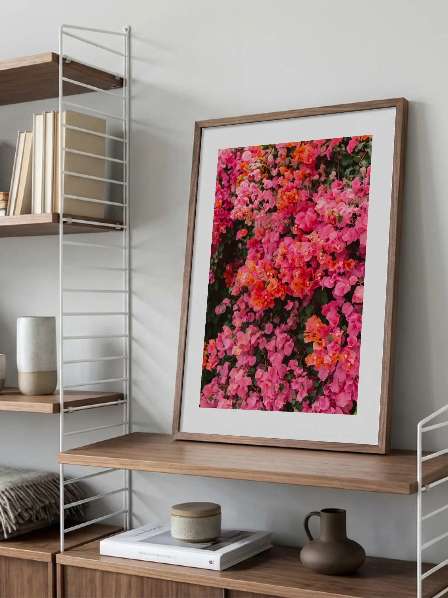 Bougainvillea in Bloom Poster