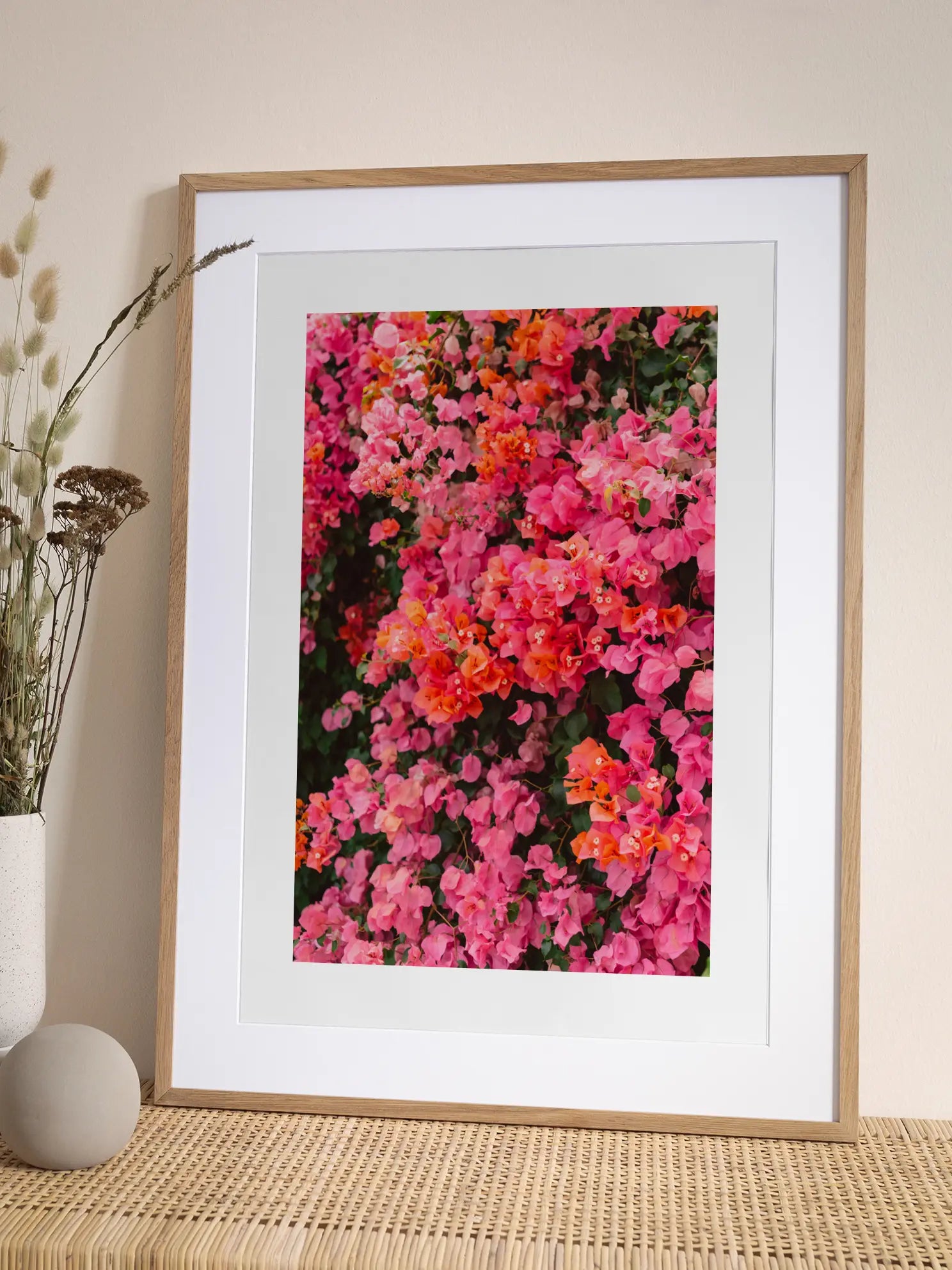 Bougainvillea in Bloom Poster