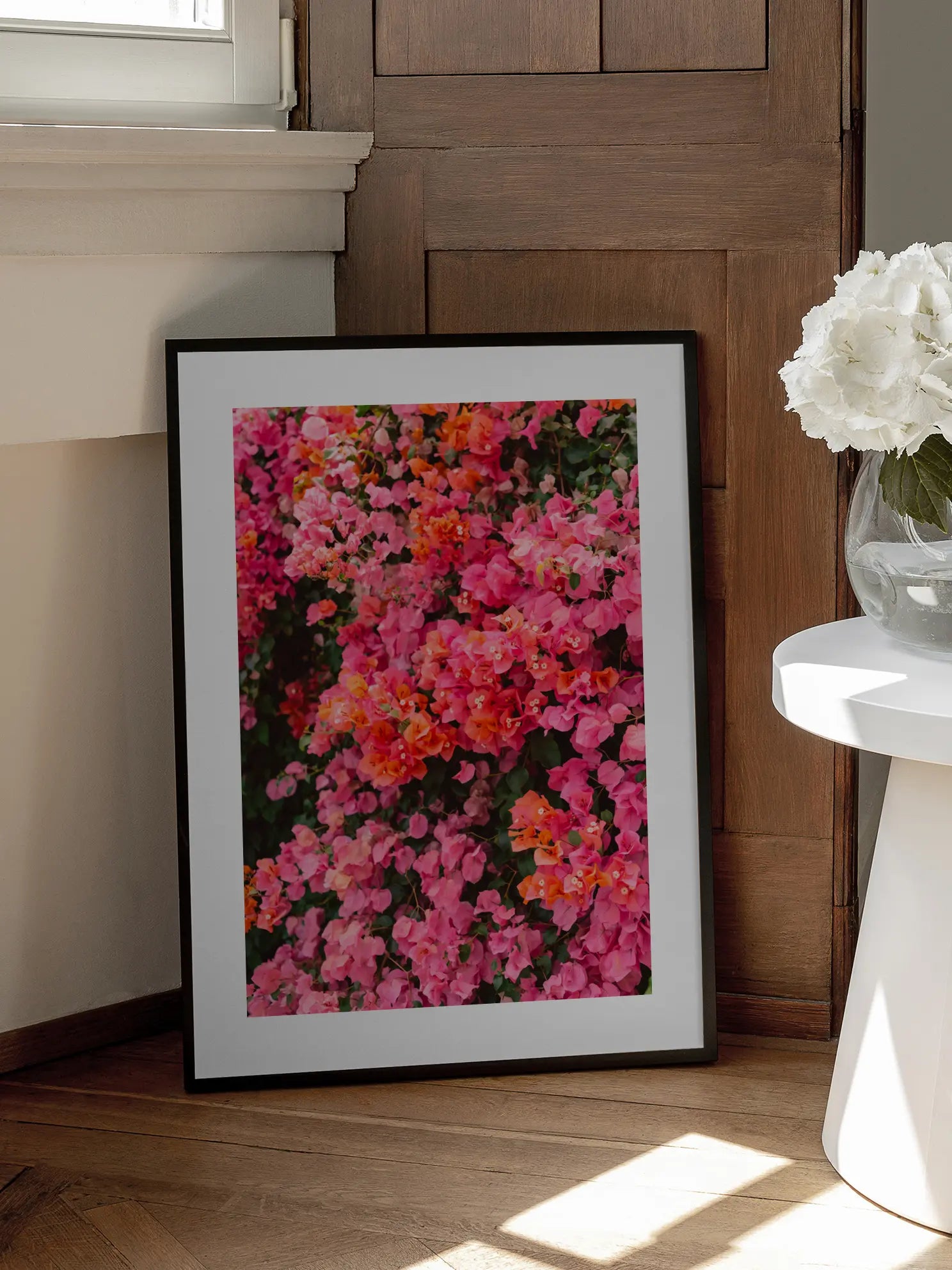 Bougainvillea in Bloom Poster