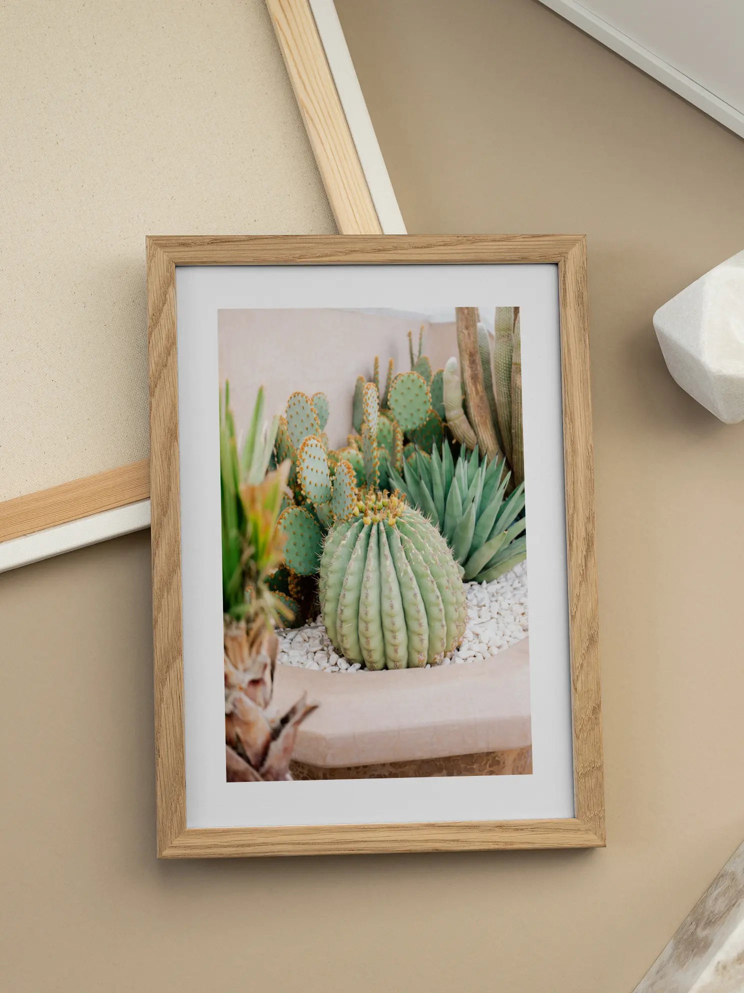 Cactus Garden 2 Poster
