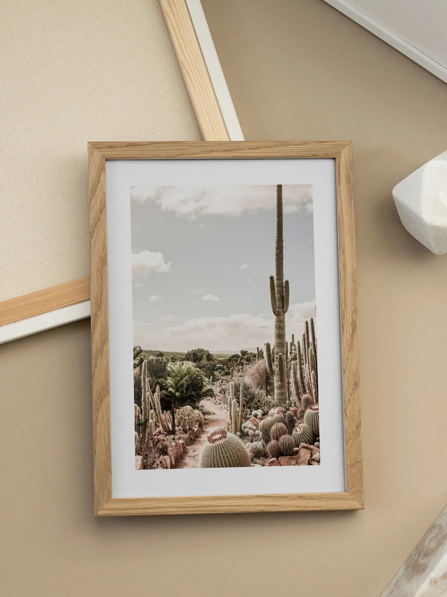 Cactus Garden Poster