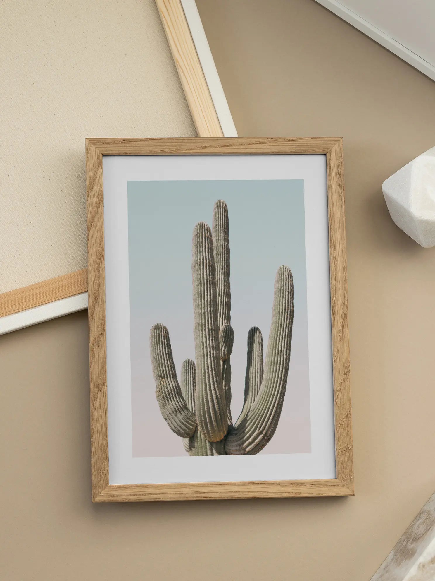 Cactus Plant Poster