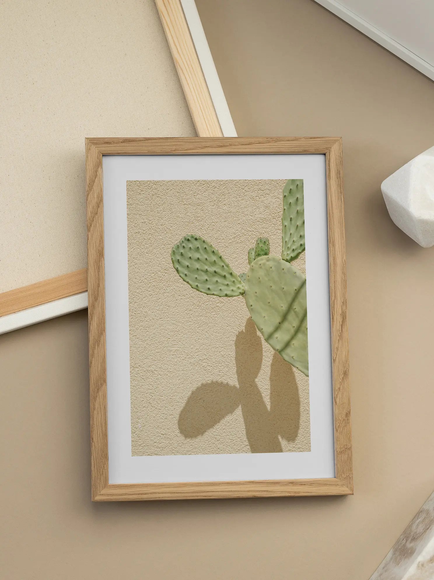 Cactus Shadow Poster