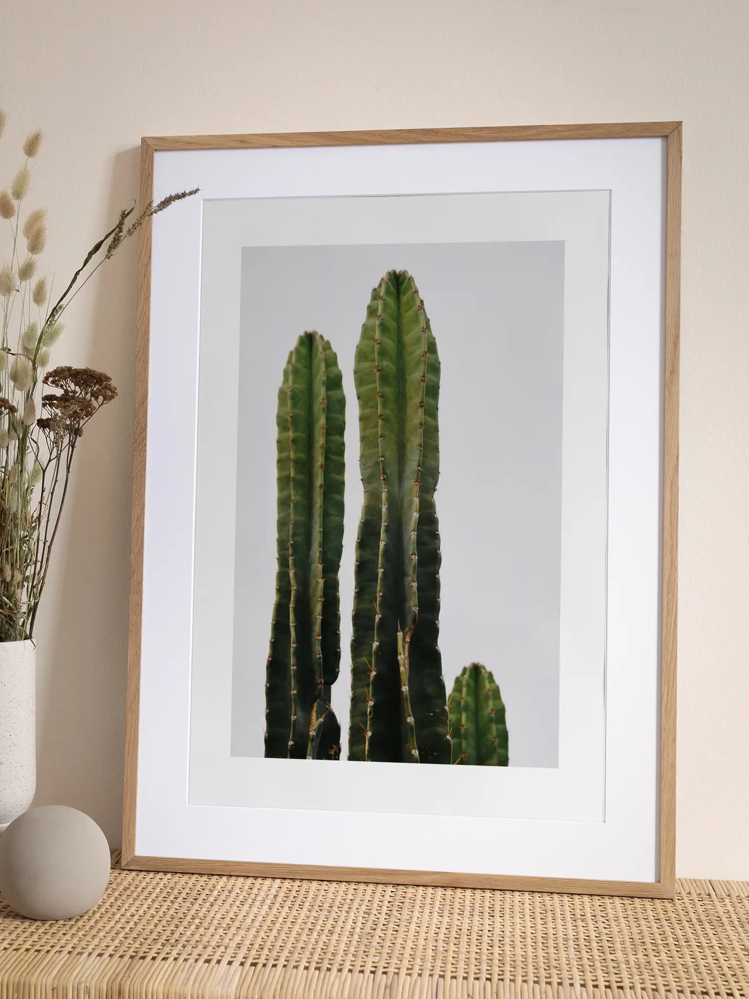 Cactus Poster