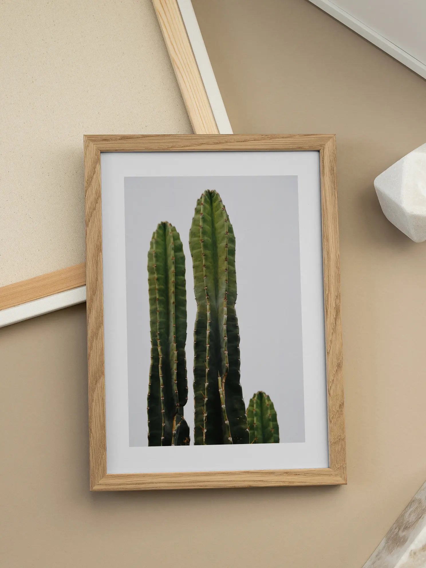 Cactus Poster